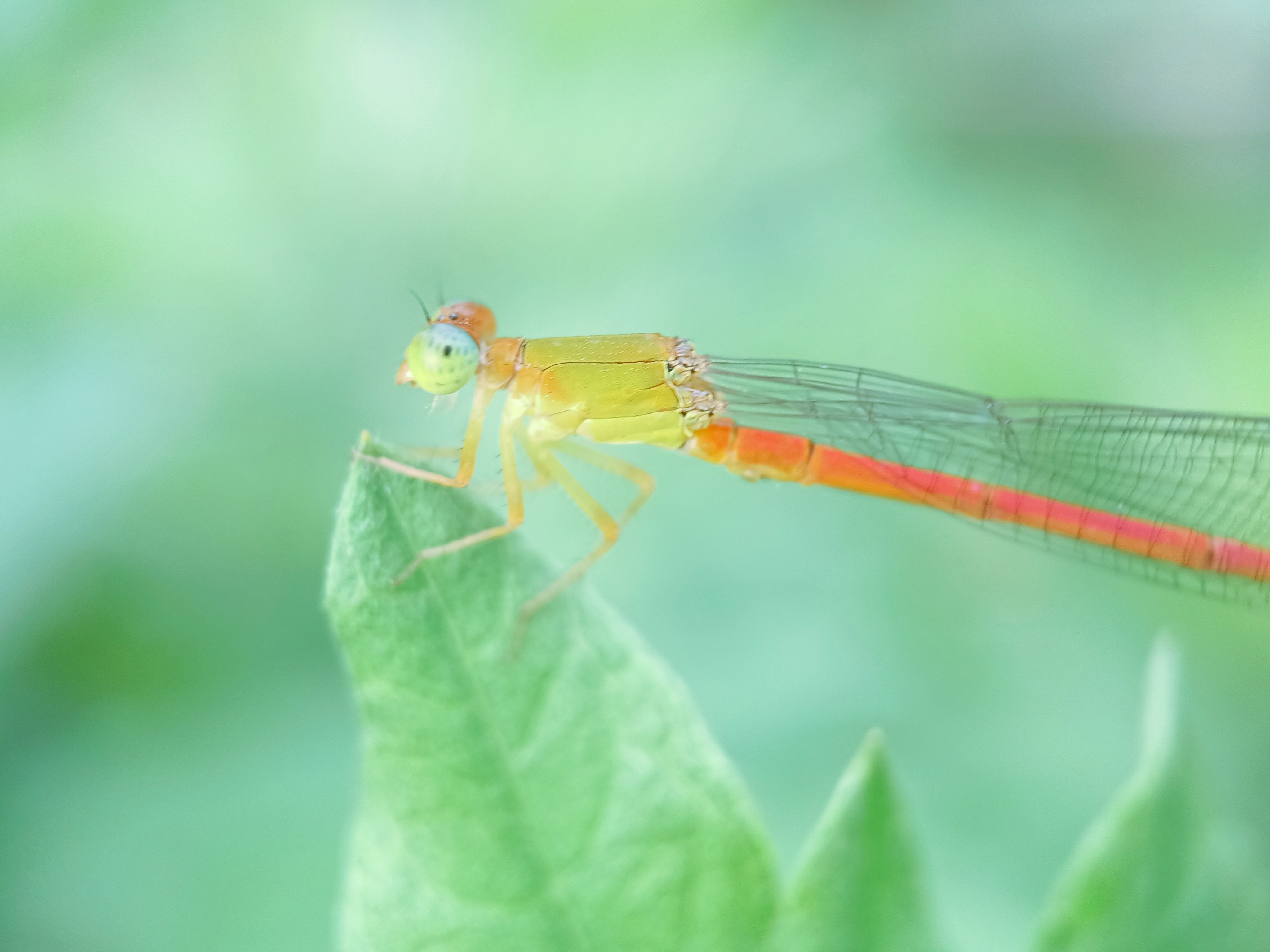 IMG_20210422_083912_polarr.jpg
