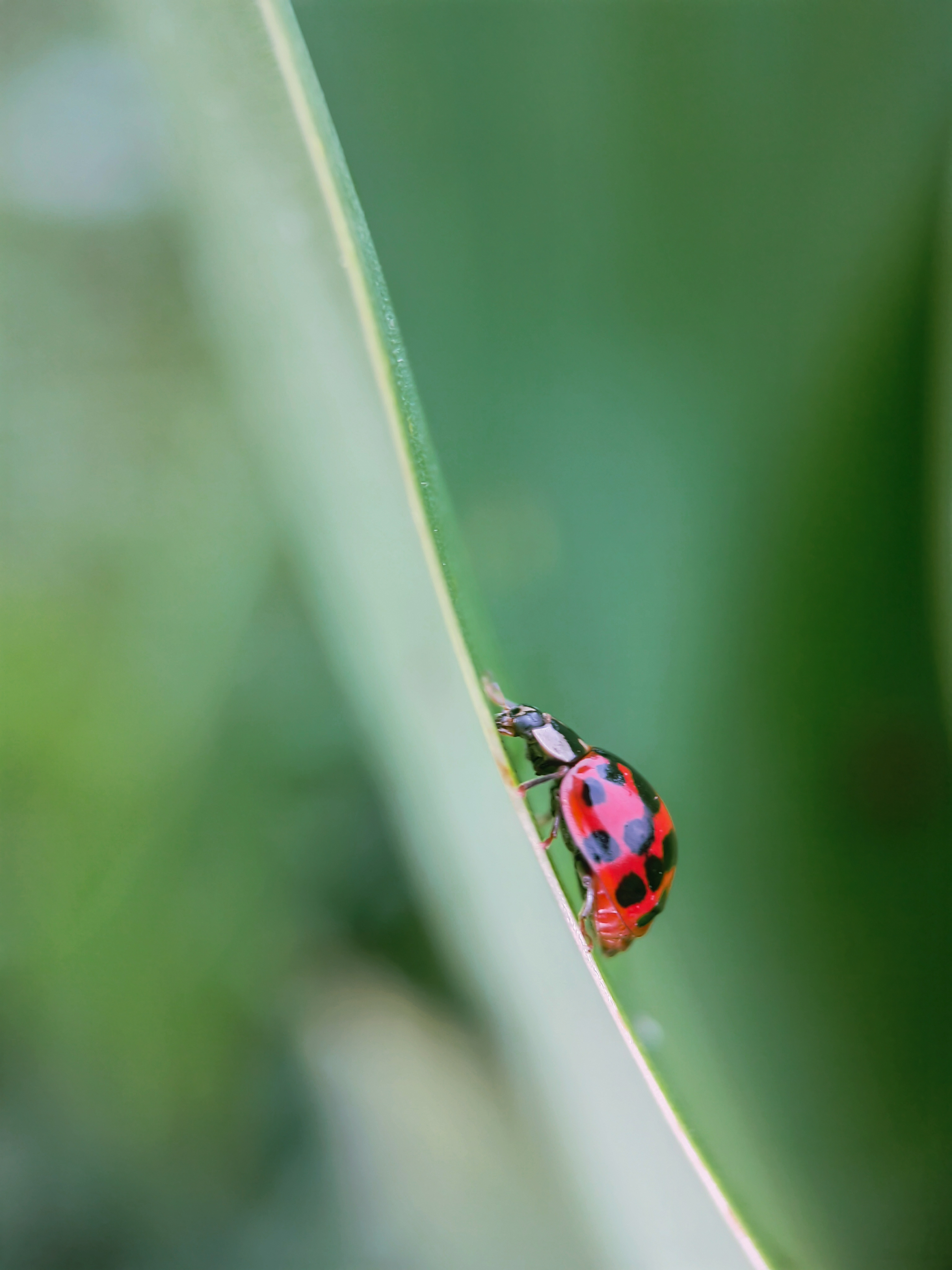 IMG_20210425_083705_polarr.jpg