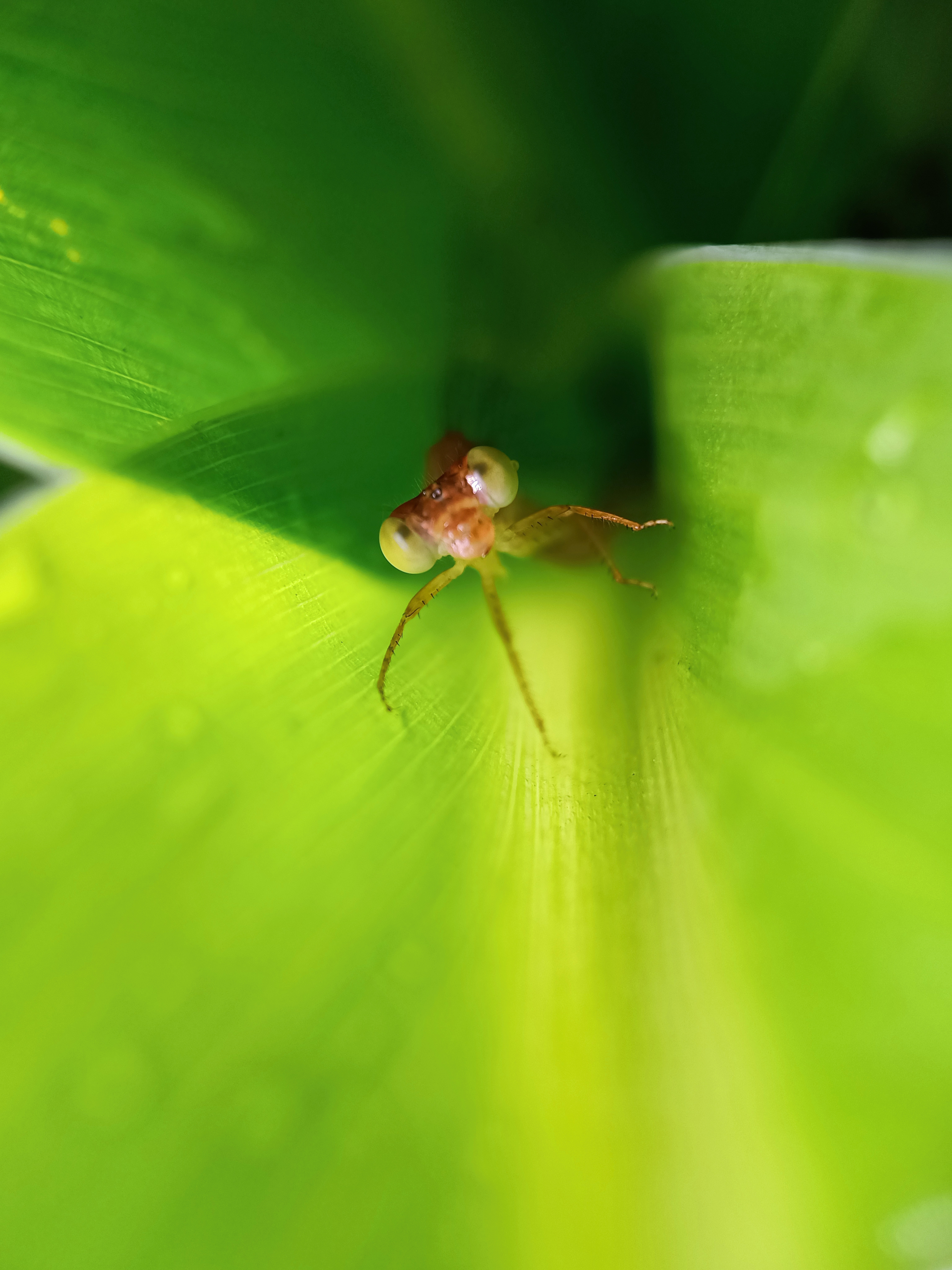 IMG_20210425_091109_polarr.jpg