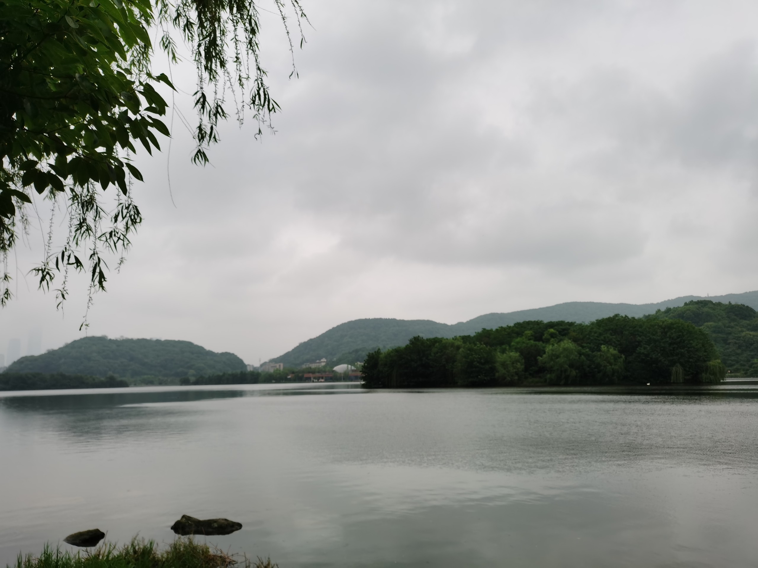 IMG_20210426_175227.jpg