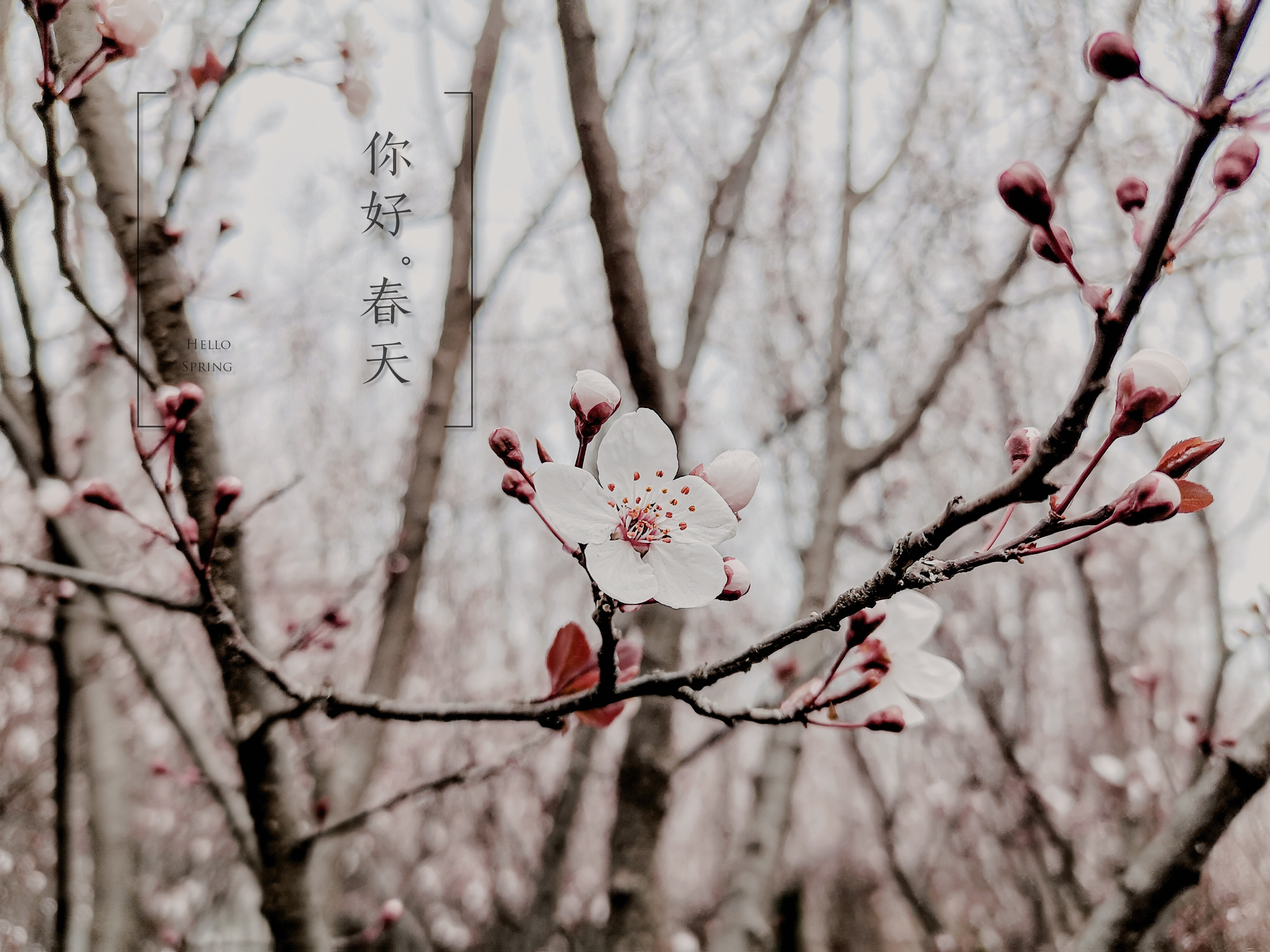 InterPhoto_1614580151209.jpg