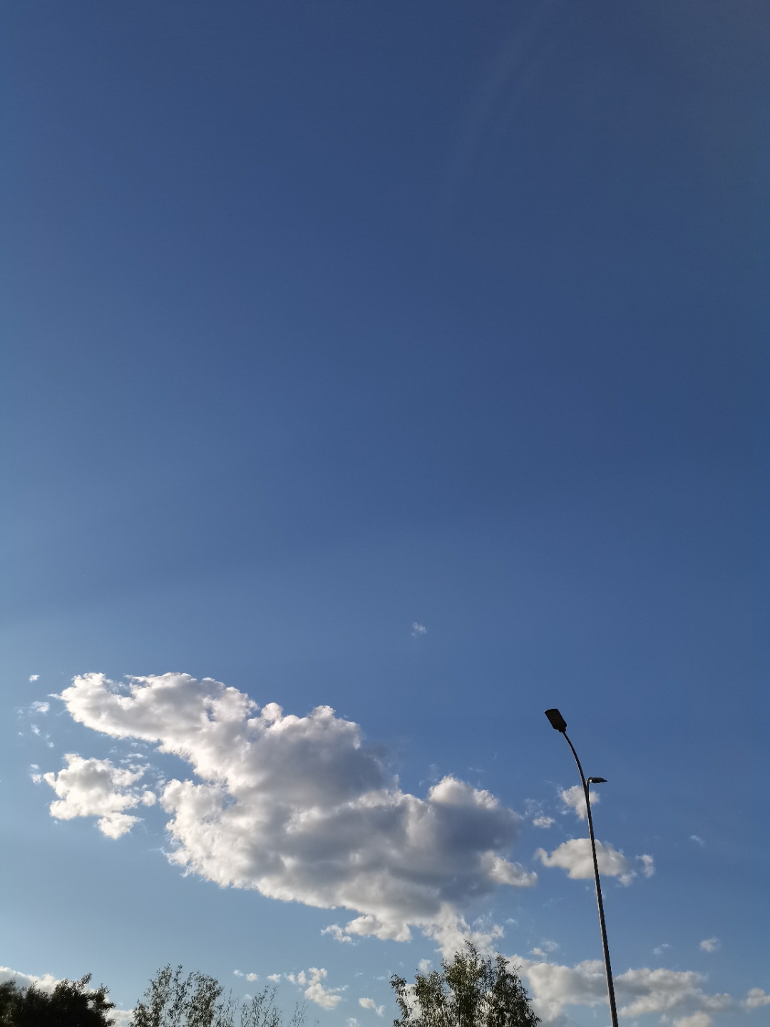 IMG_20210604_180506.jpg