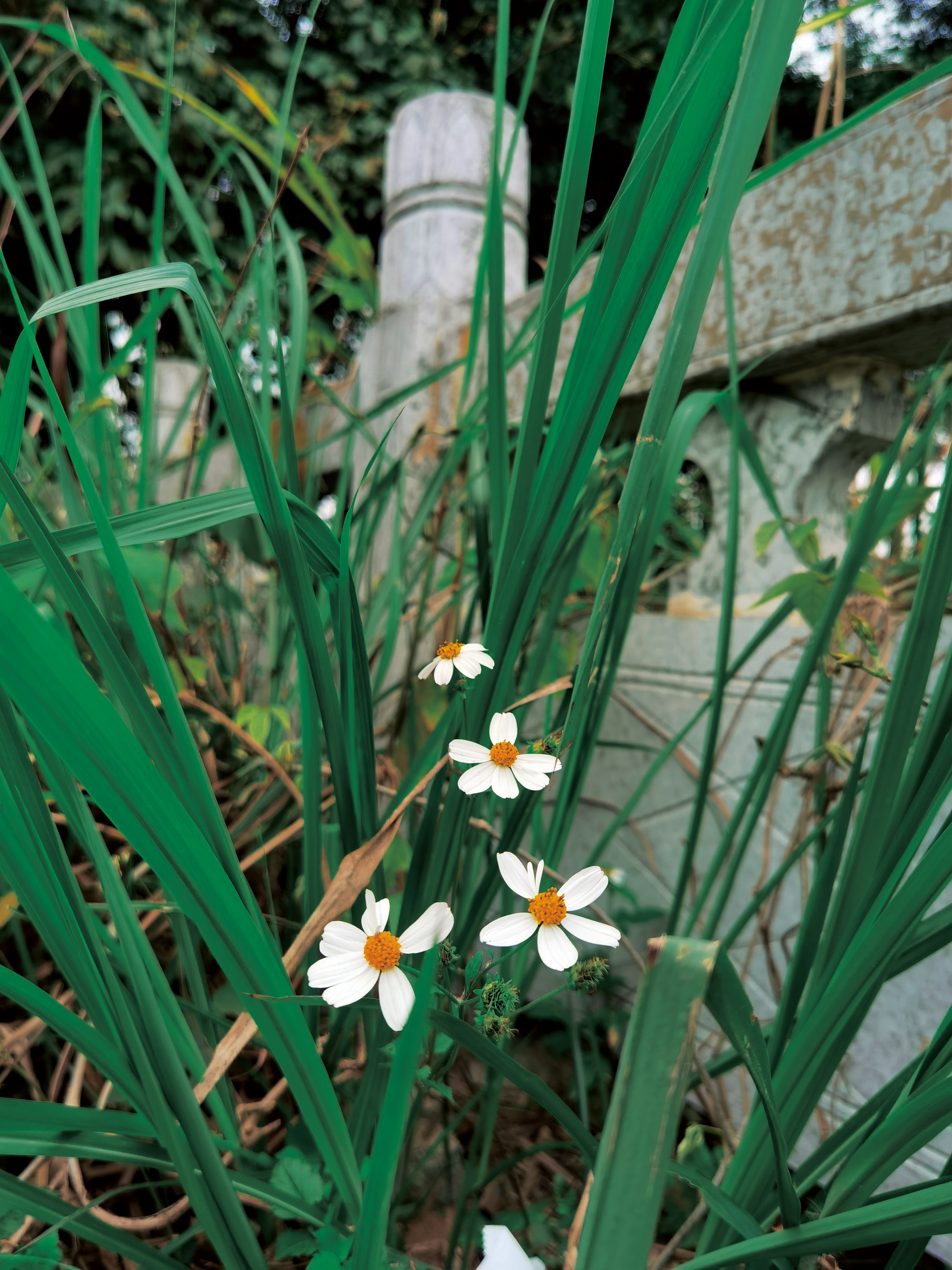 retouch_20210310093947.jpg