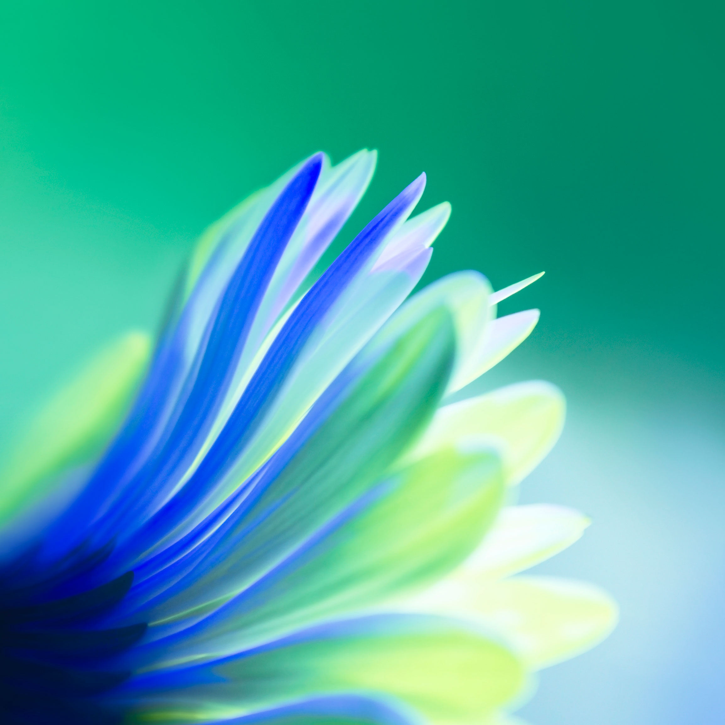 home_wallpaper_1(1)(2).jpg