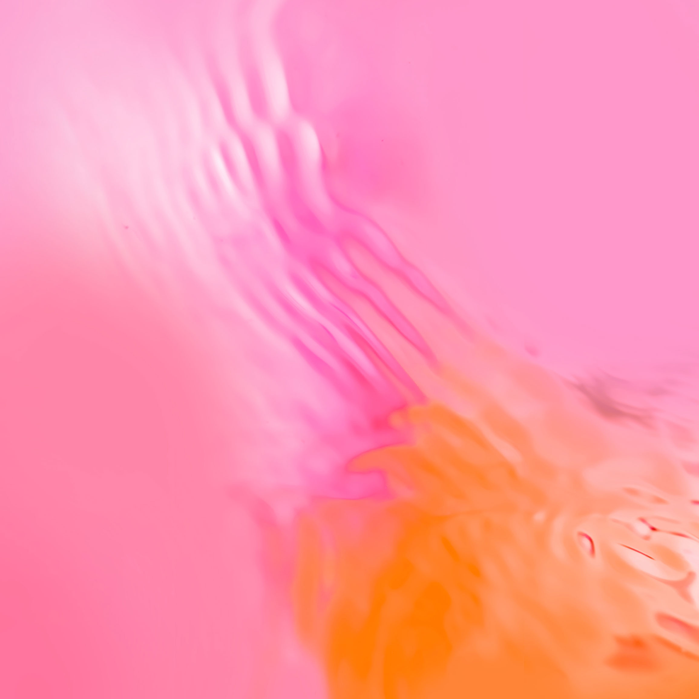 home_wallpaper_1(1)(2)(3)(4).jpg