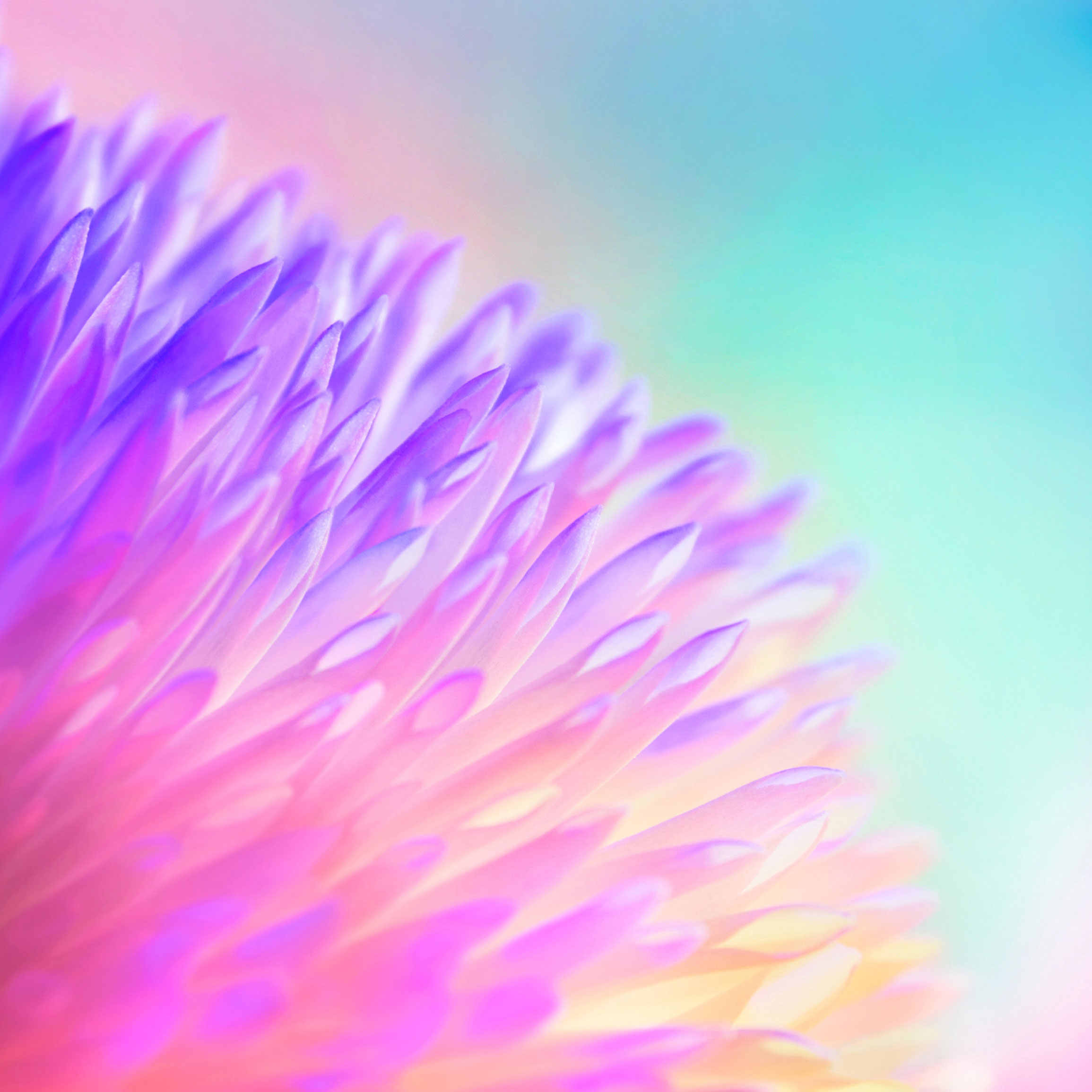 home_wallpaper_0(1).jpg