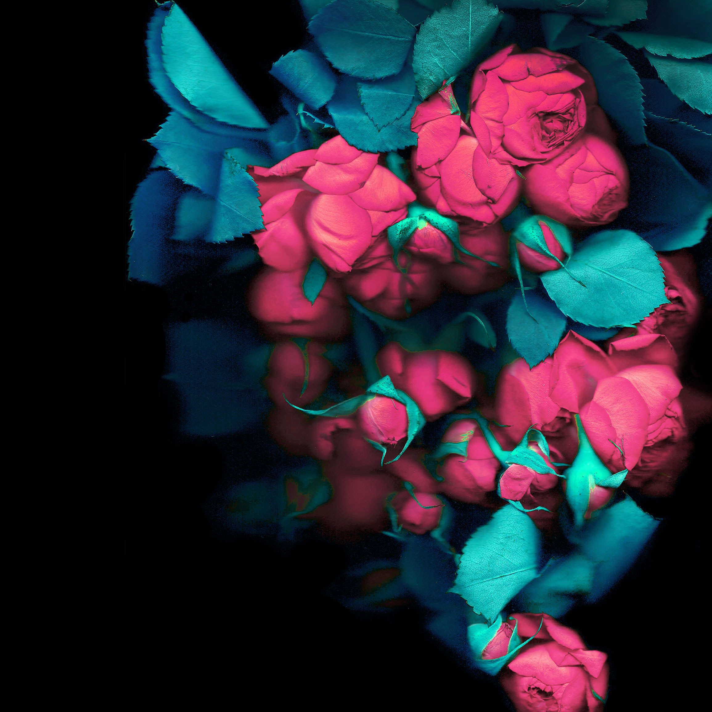 home_wallpaper_0(1)(2)(3)(4)(5)(6)(7)(8)(9)(10).jpg