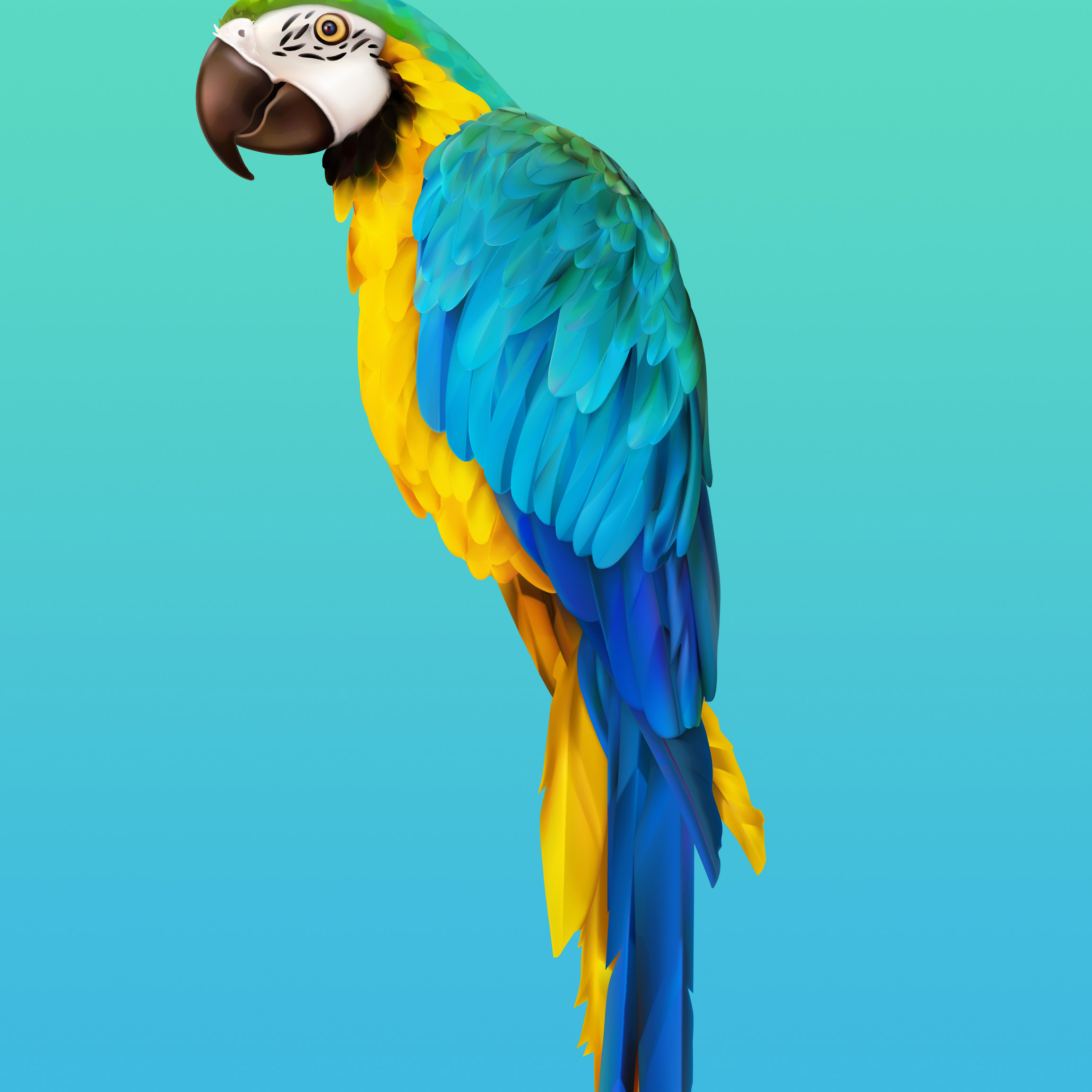 home_wallpaper_0(1)(2)(3)(4)(5)(6)(7)(8)(9)(10)(11)(12).jpg