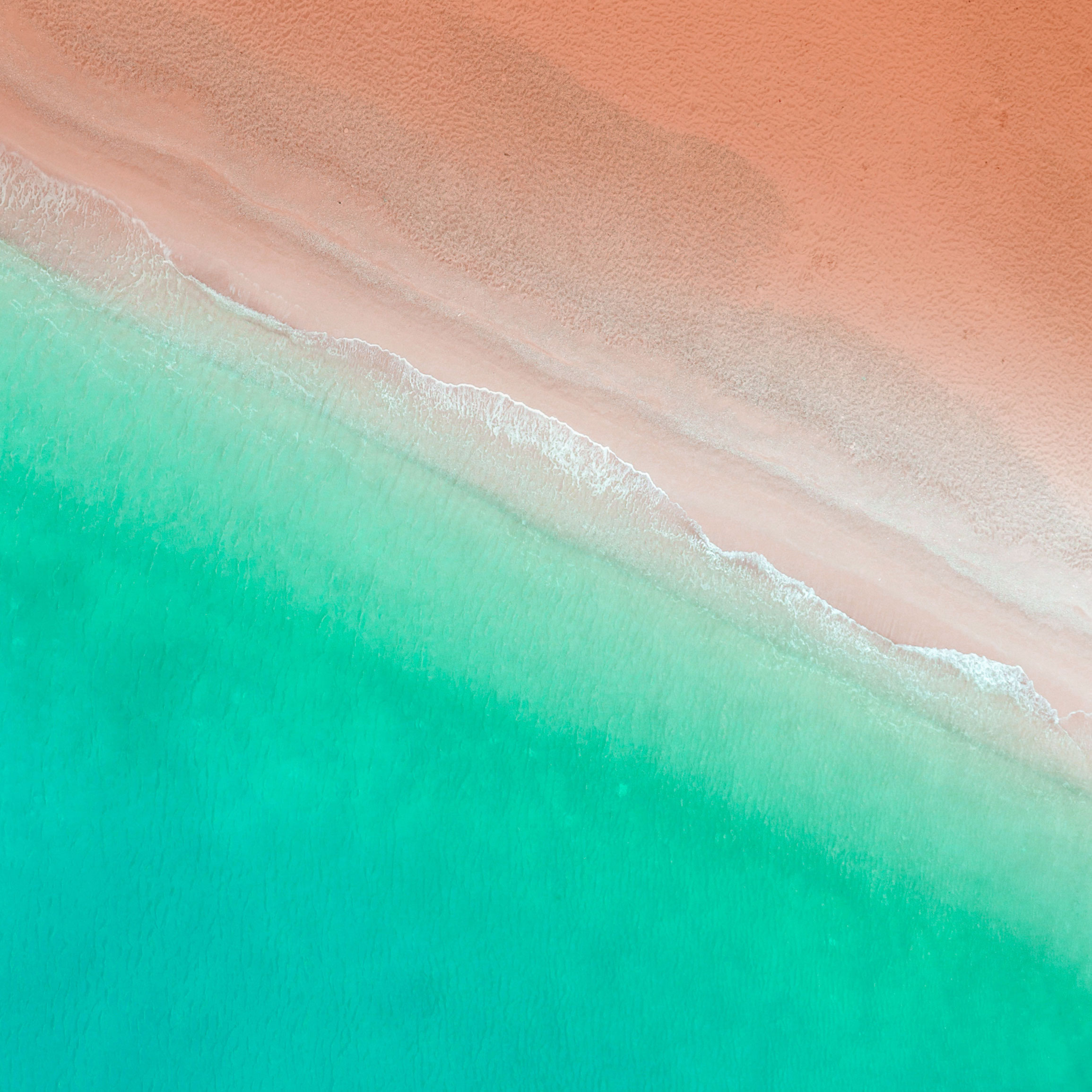home_wallpaper_2.jpg