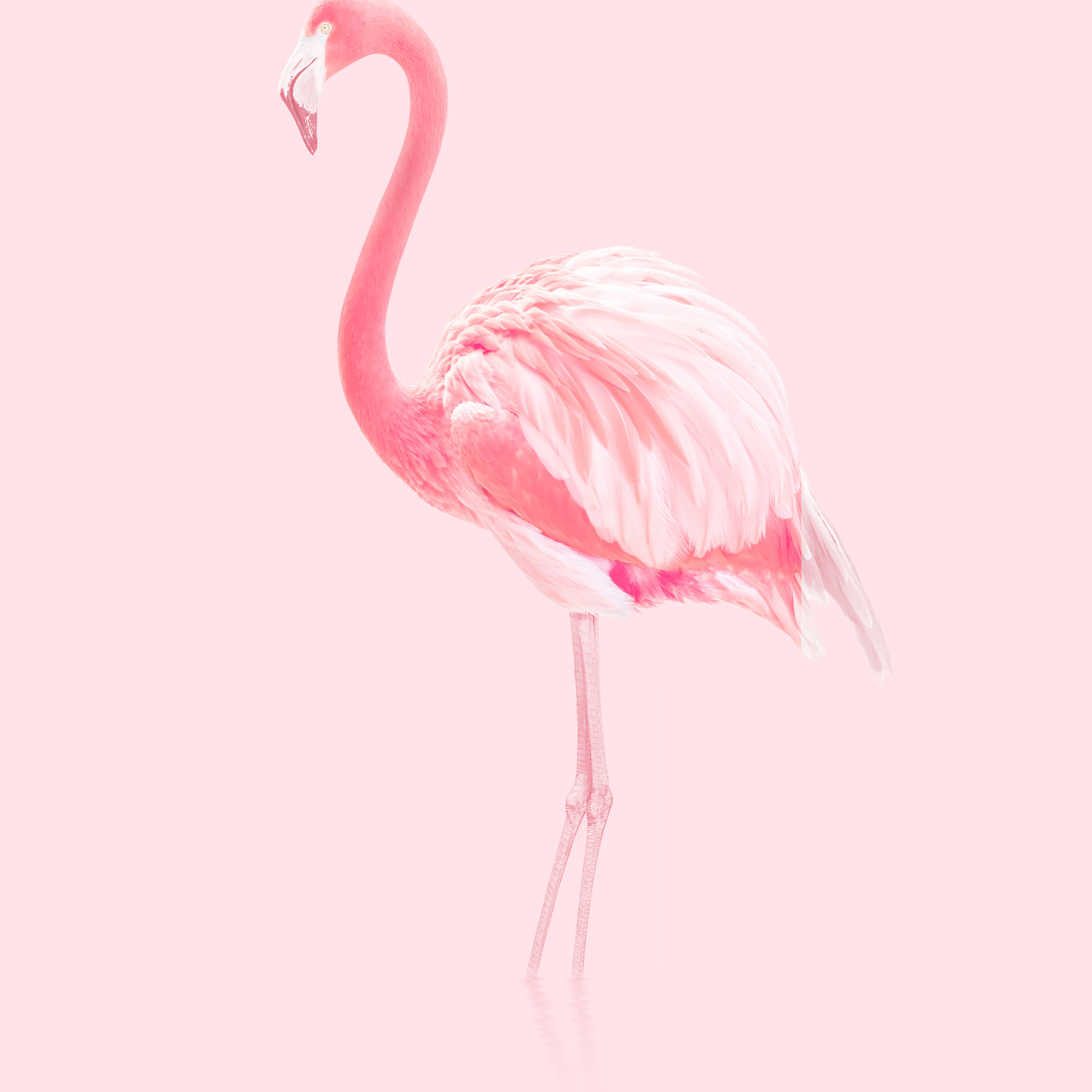 home_wallpaper_0(1)(2)(3)(4).jpg