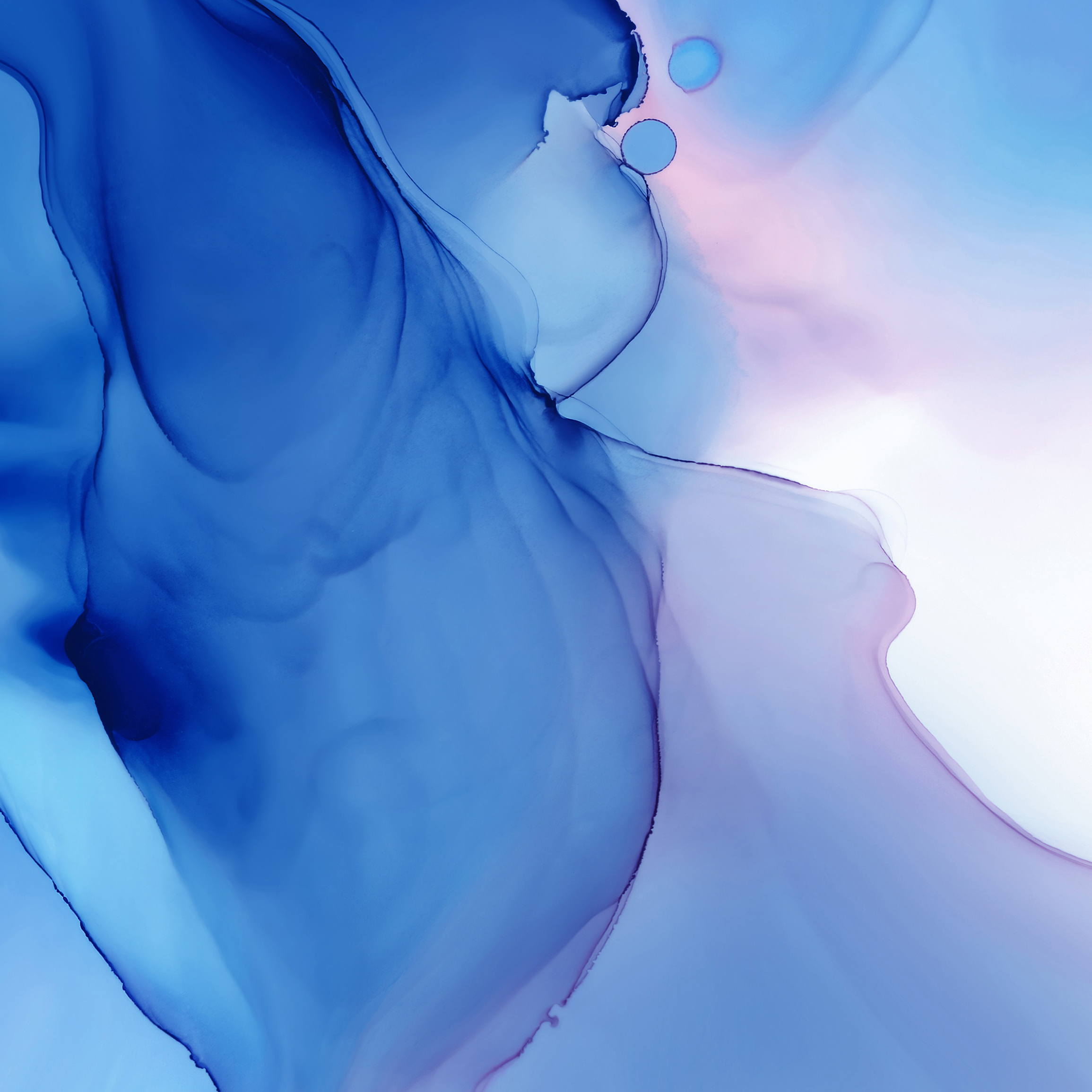 home_wallpaper_0(1)(2)(3)(4)(5)(6)(7)(8)(9)(10)(11).jpg