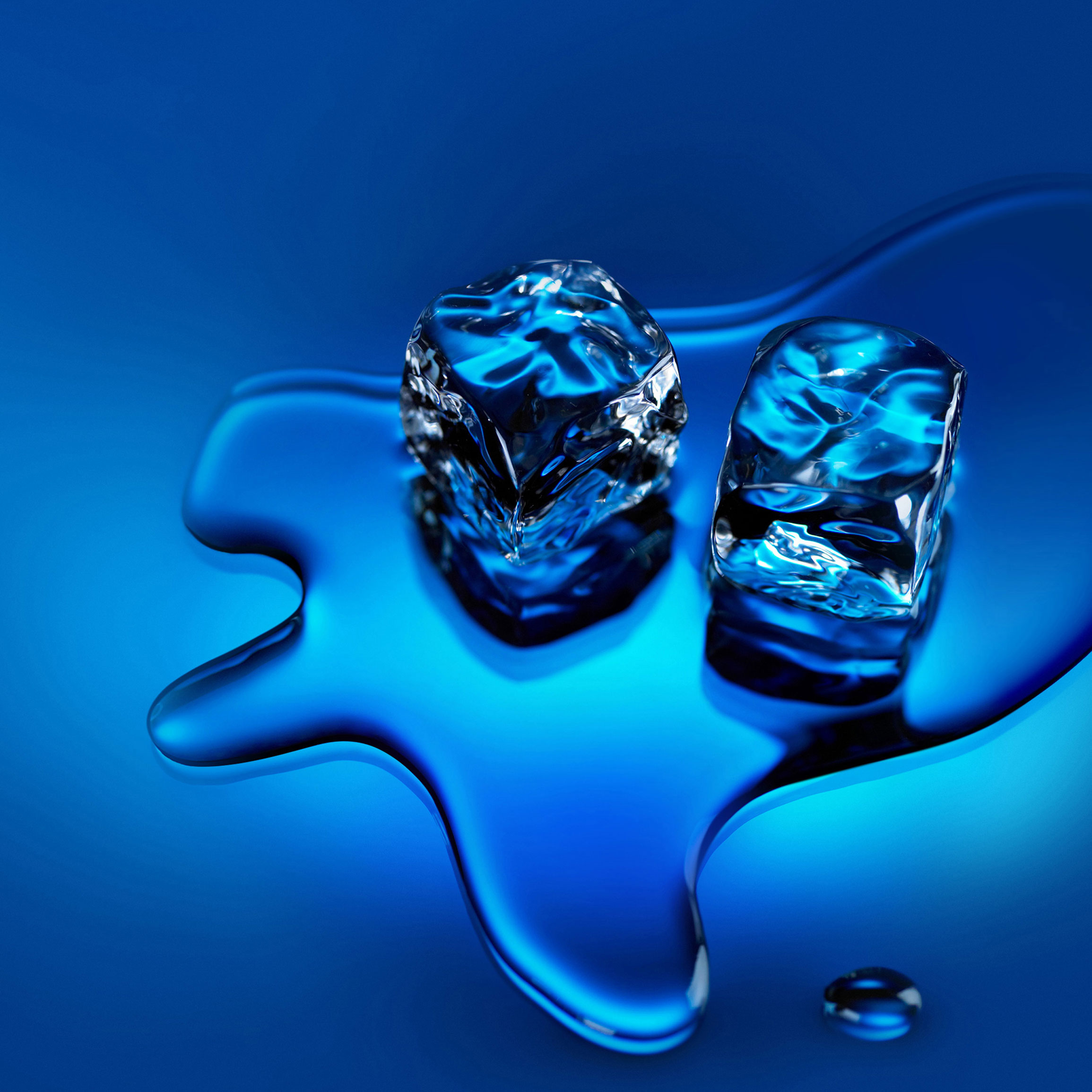 home_wallpaper_0(1)(2)(3)(4)(5).jpg