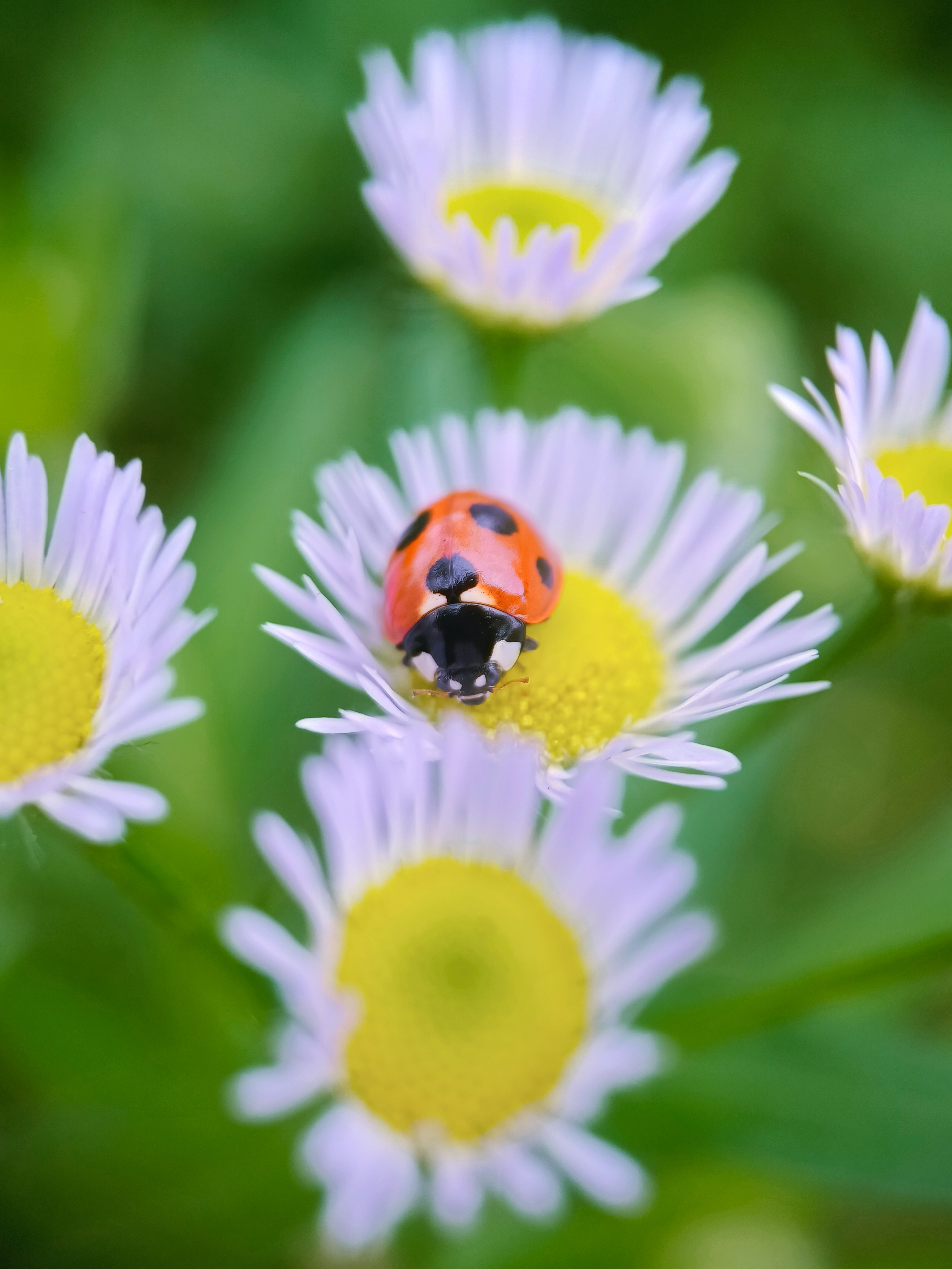 IMG_20210526_091529_polarr.jpg