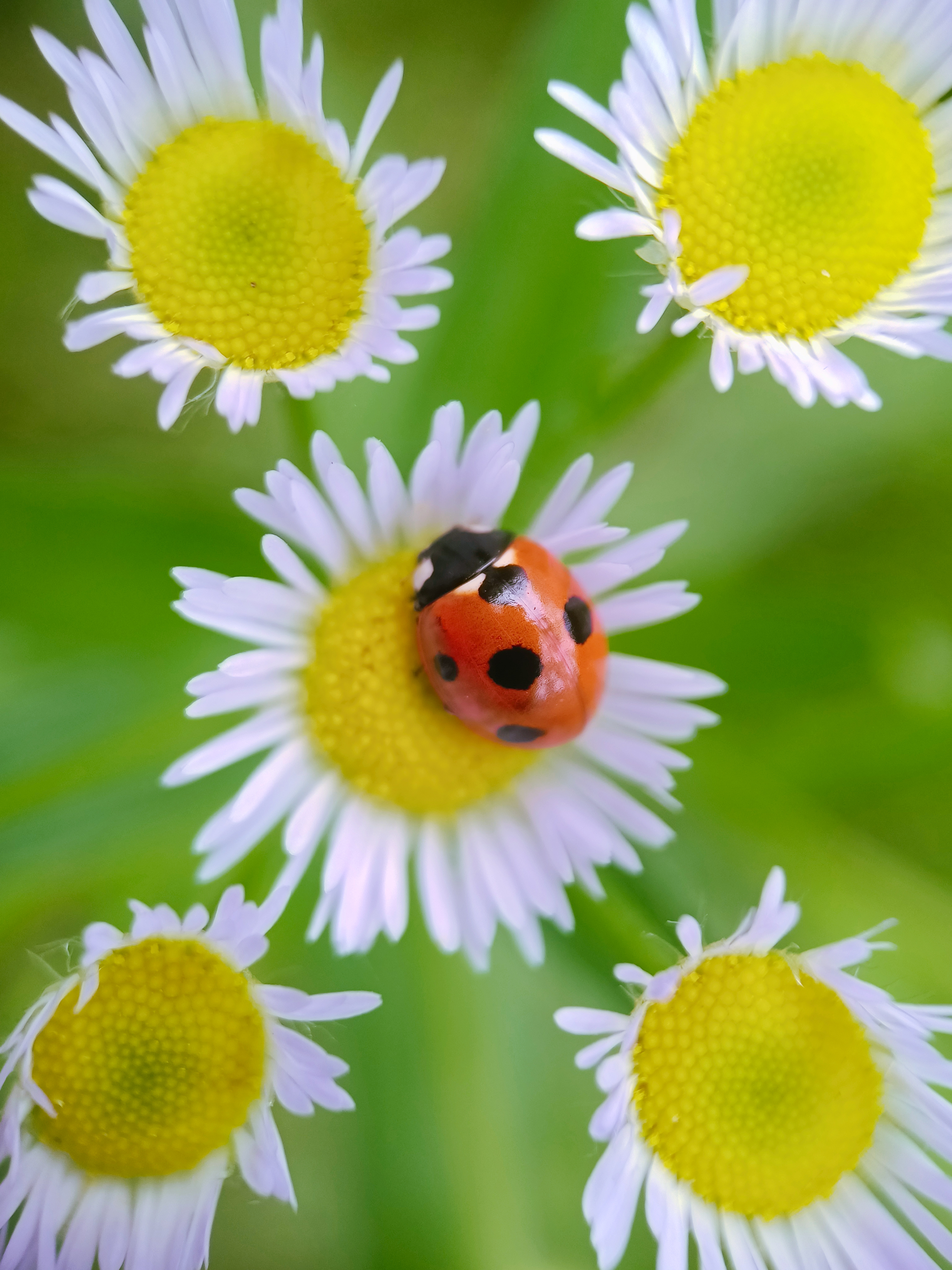 IMG_20210526_091506_polarr.jpg