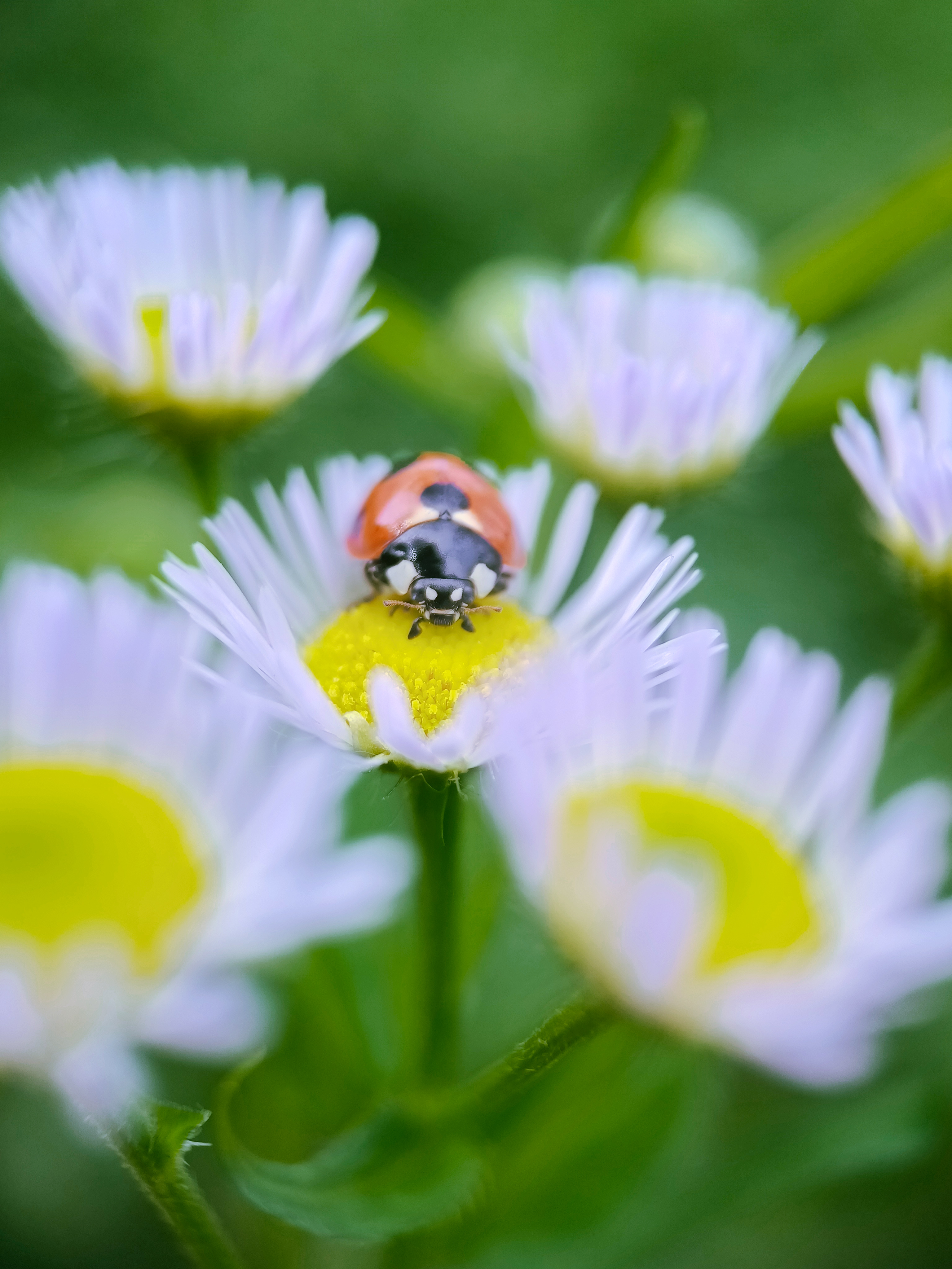 IMG_20210526_091312_polarr.jpg