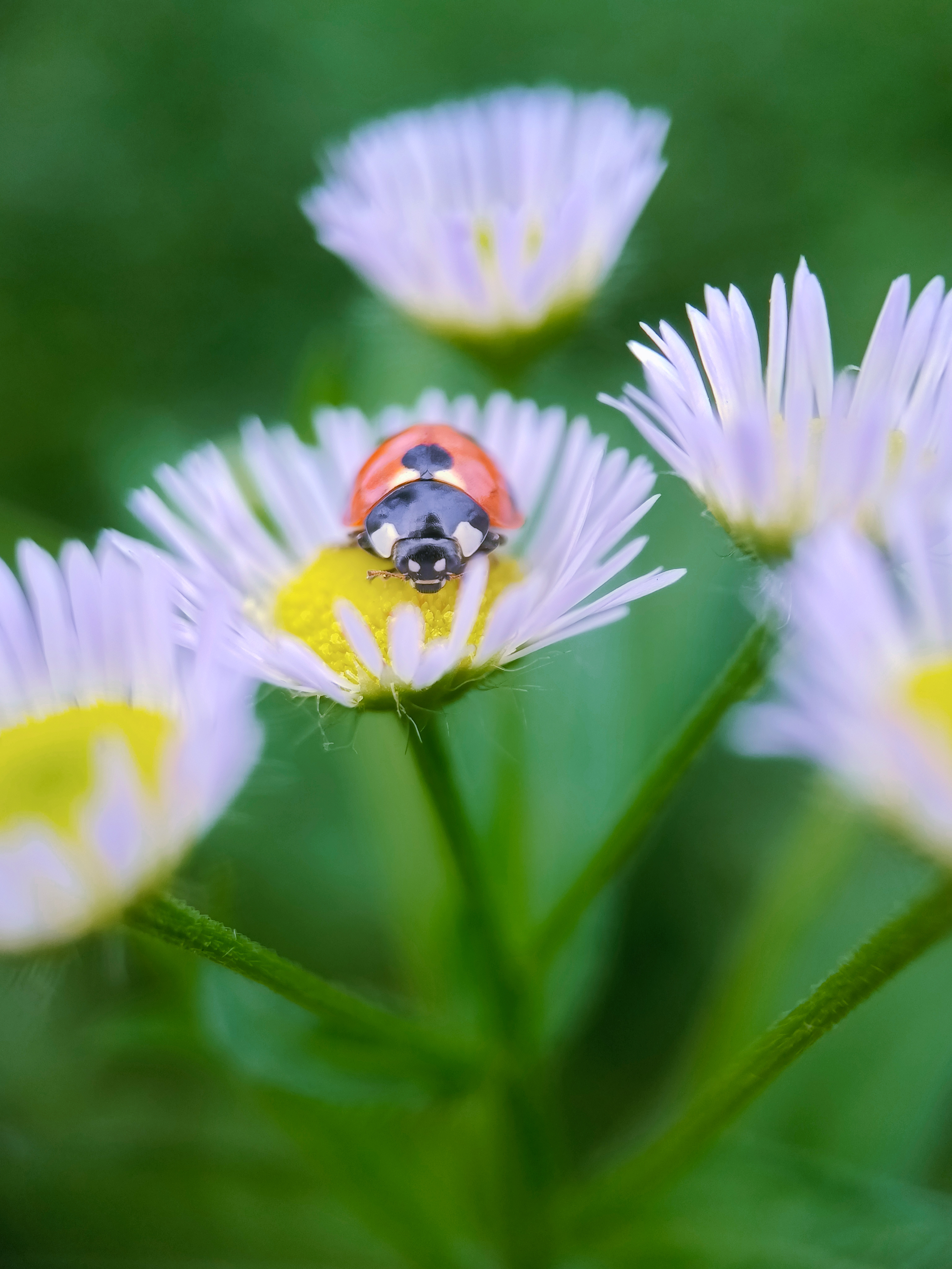 IMG_20210526_091601_polarr.jpg