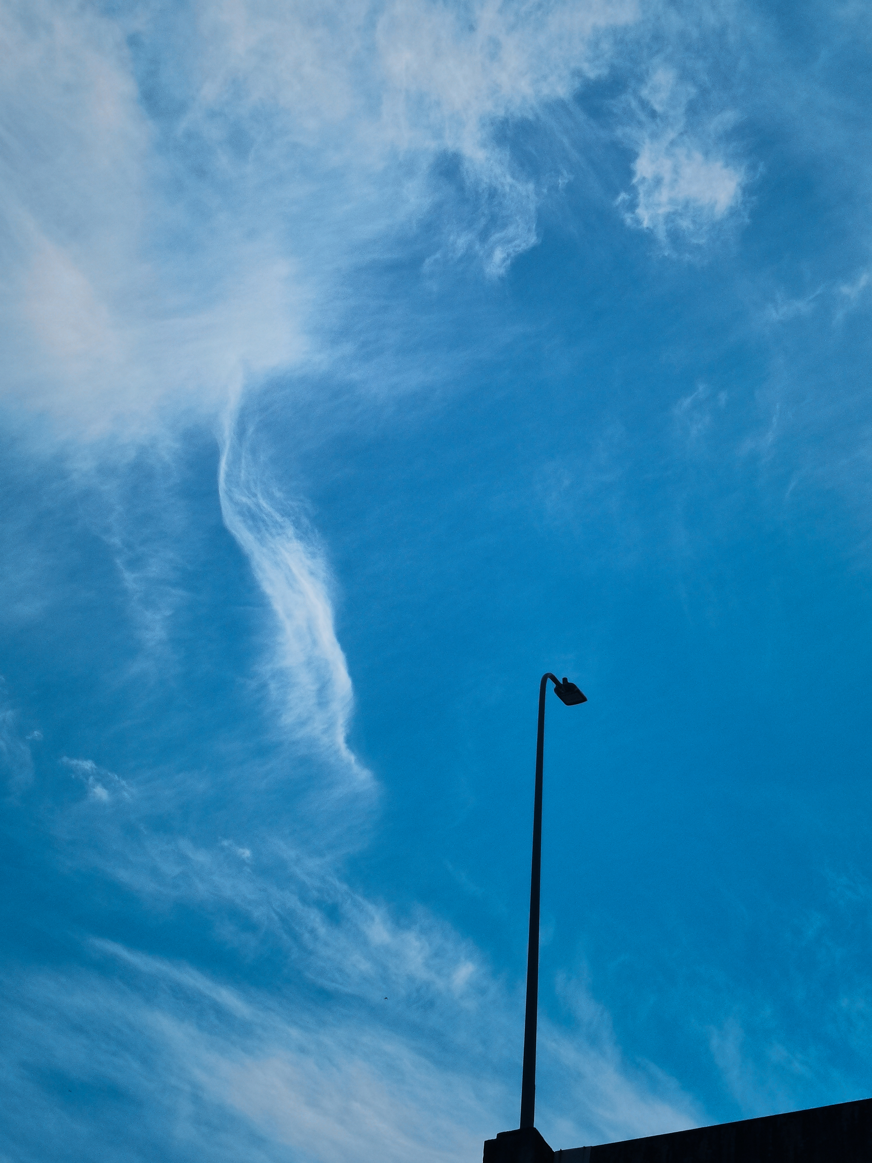IMG_20210604_193225_polarr.jpg