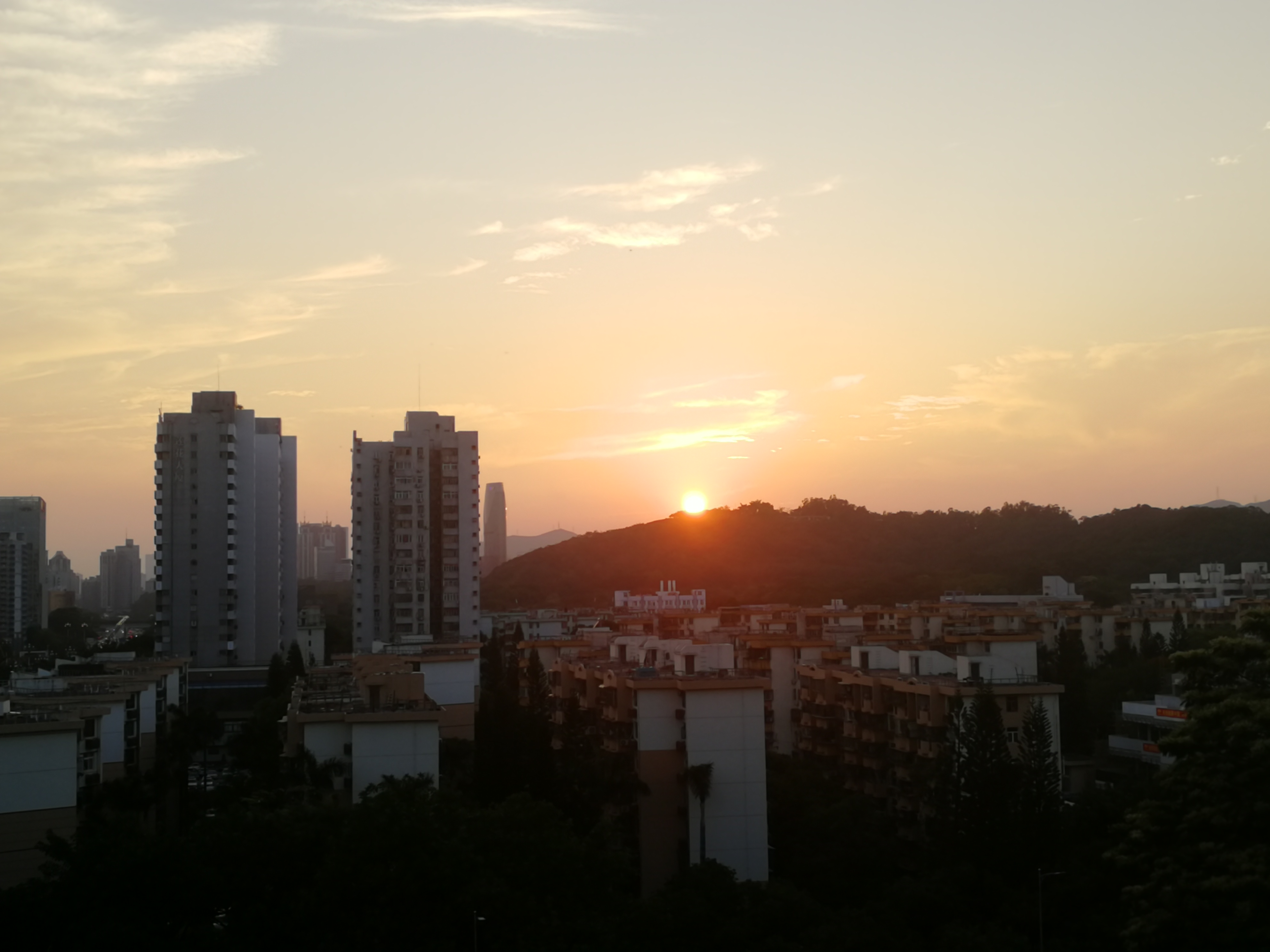 IMG_20210508_183716.jpg