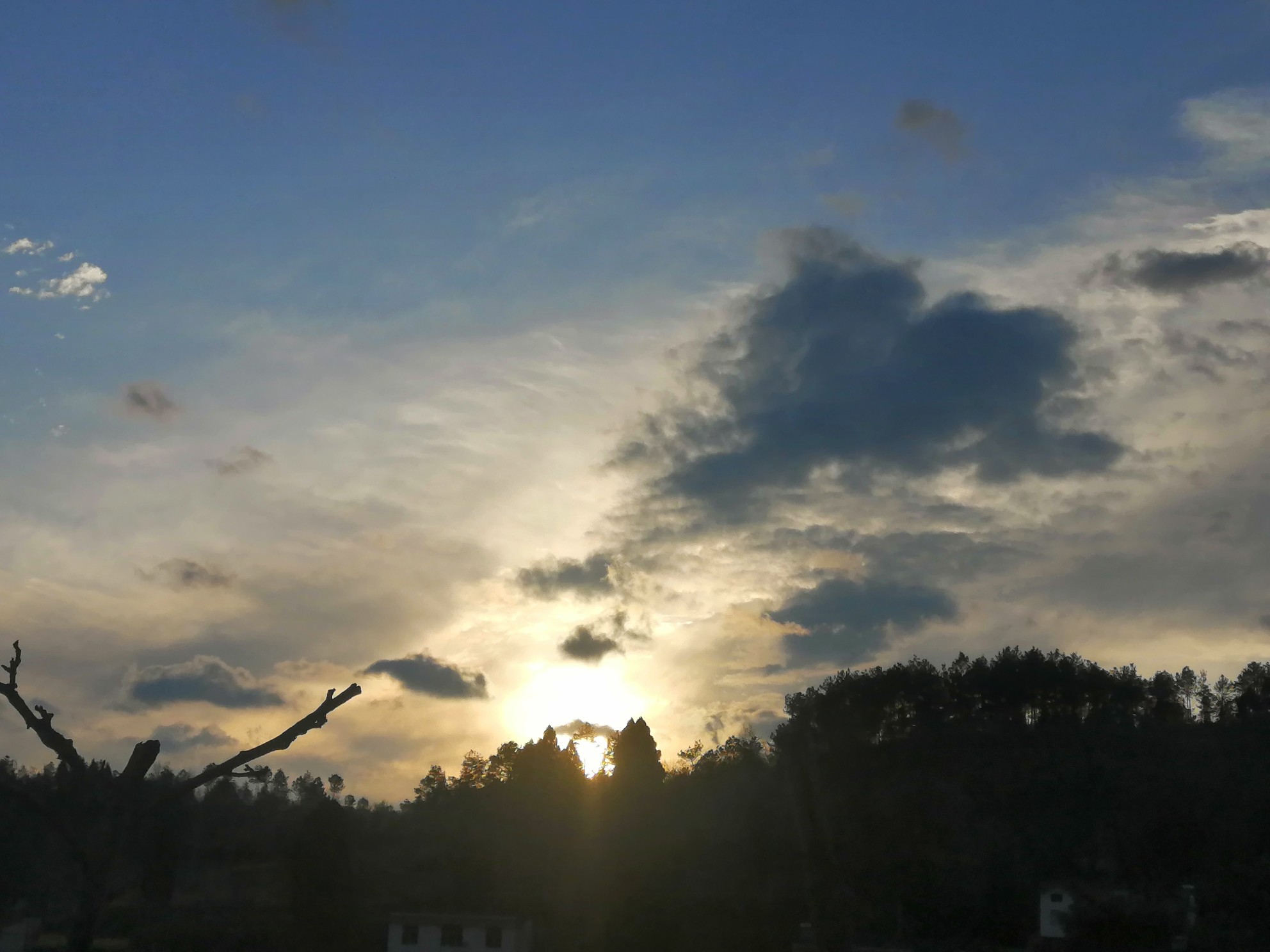 IMG_20210225_181151.jpg