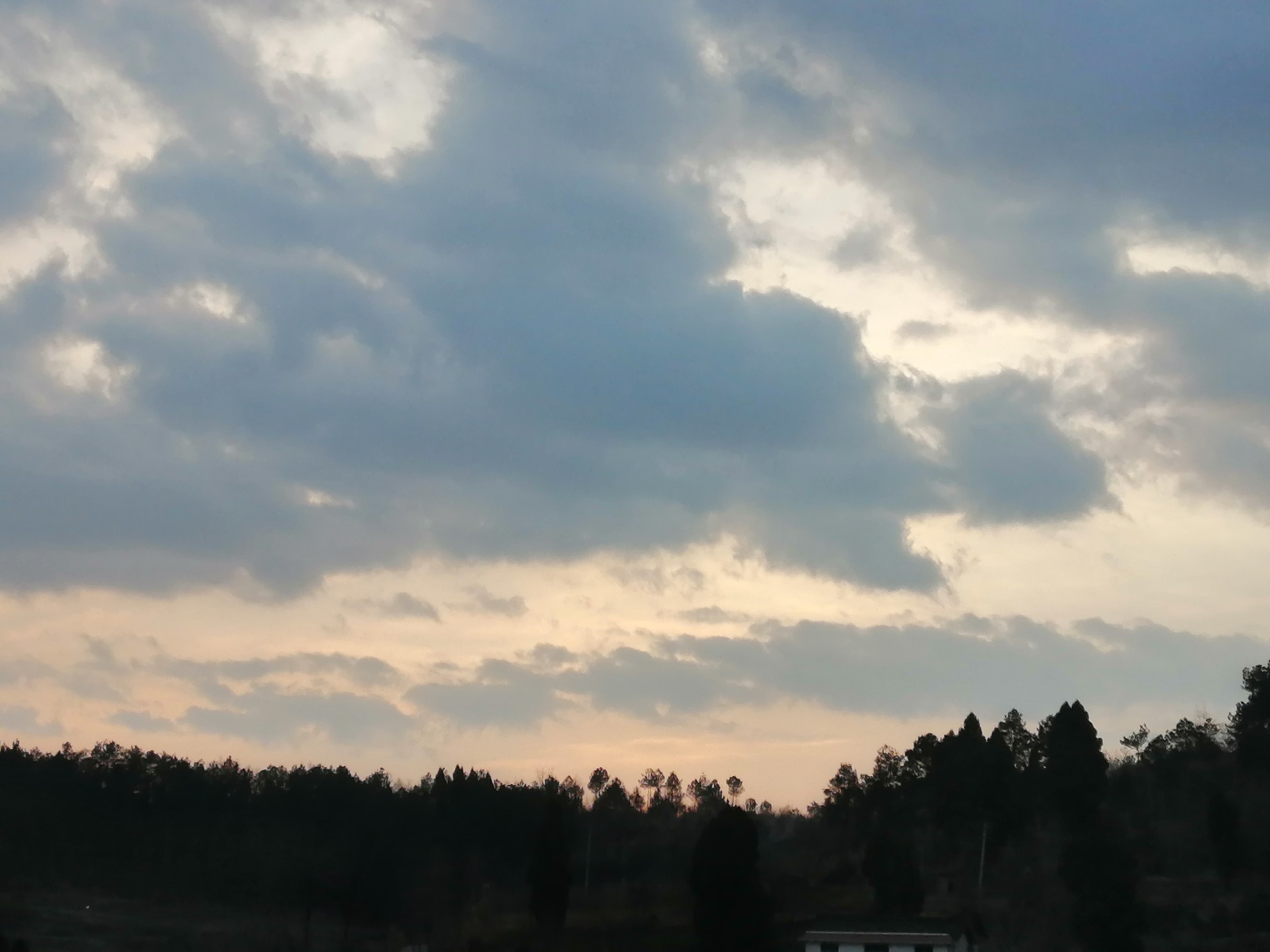 IMG_20210131_181252.jpg