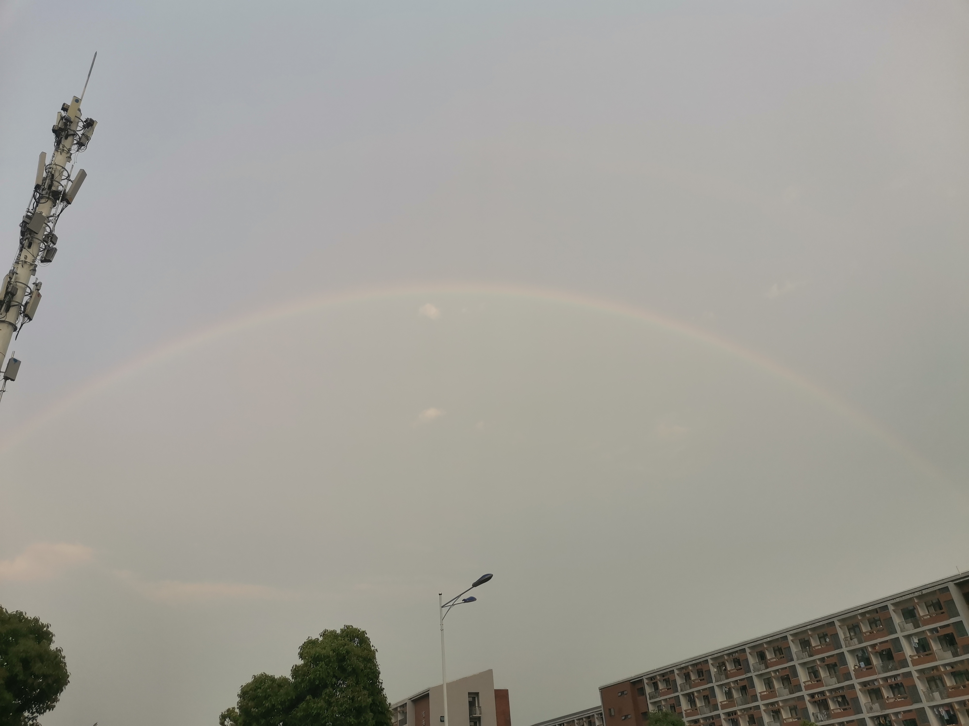 IMG_20210603_185758.jpg