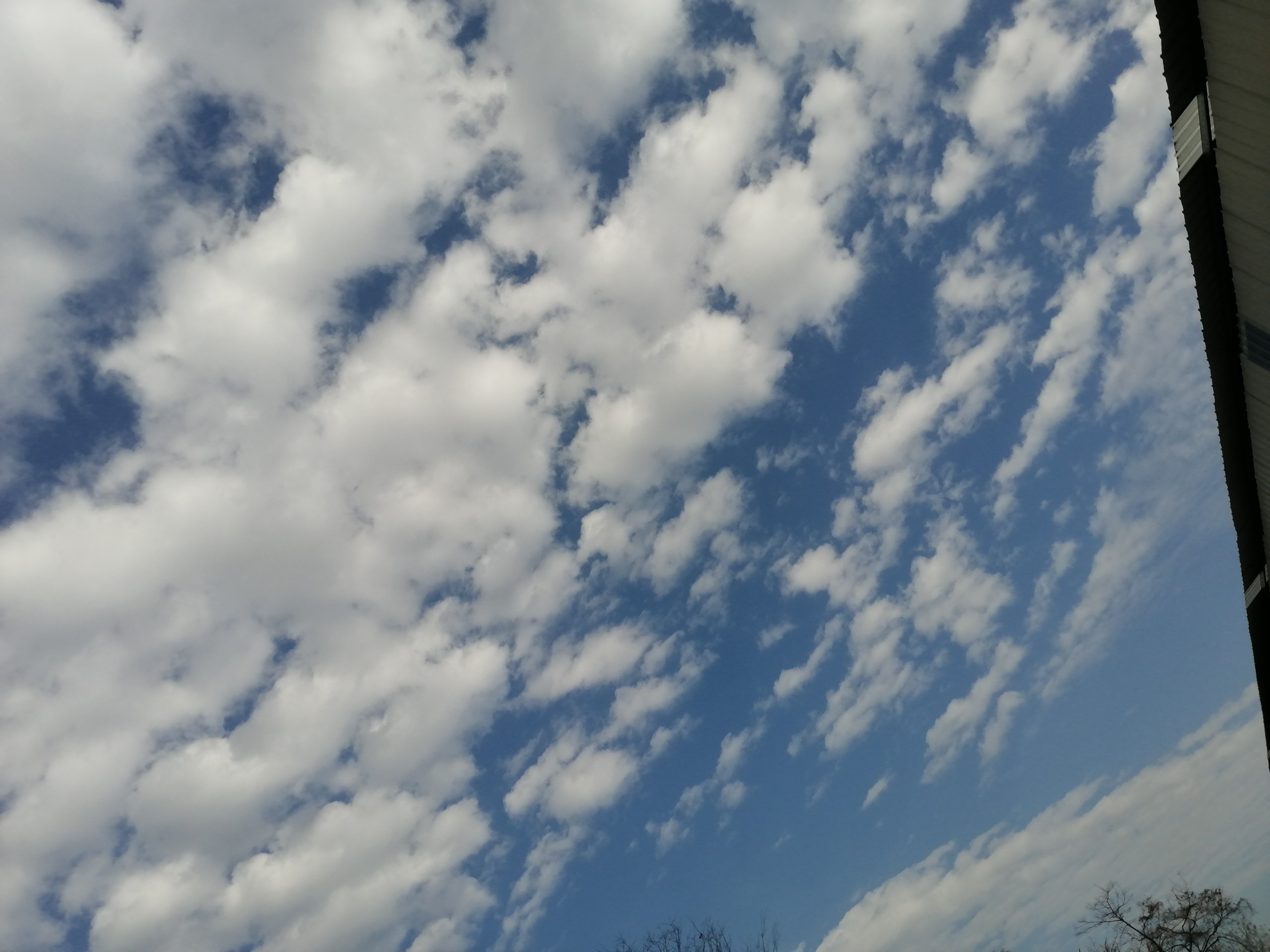 IMG_20210113_152253.jpg