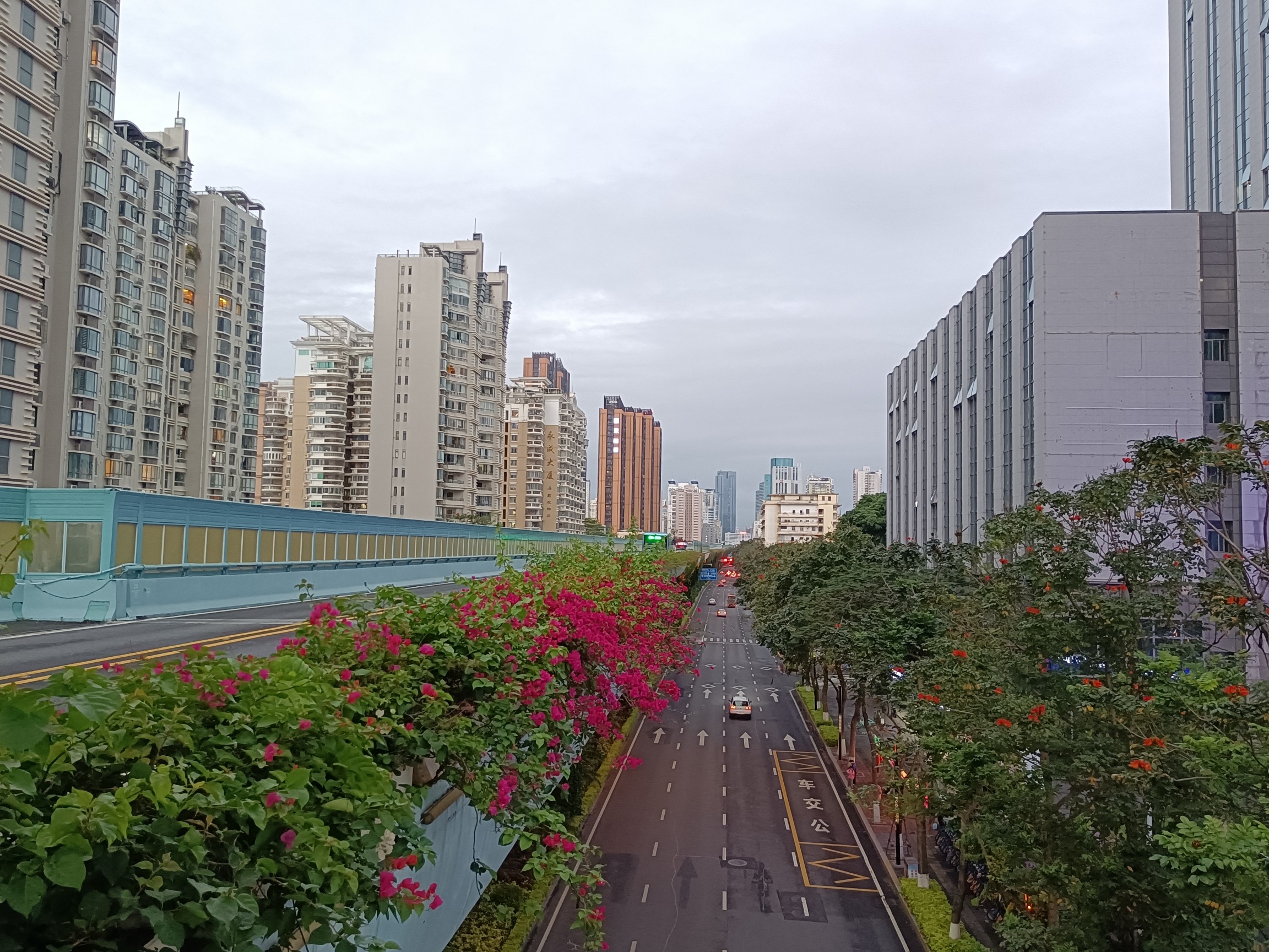IMG_20210606_185935.jpg