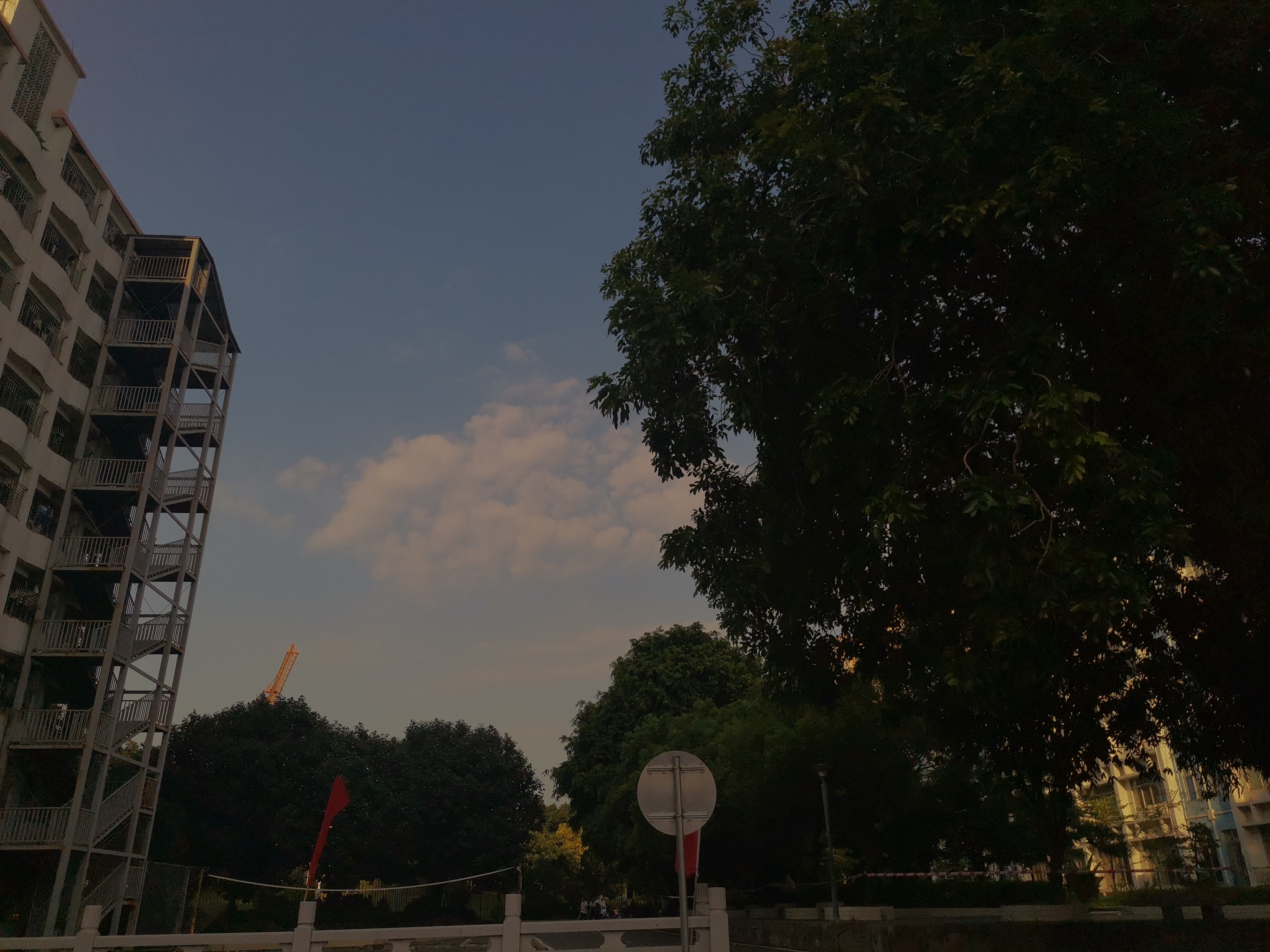 IMG_20210606_173932.jpg