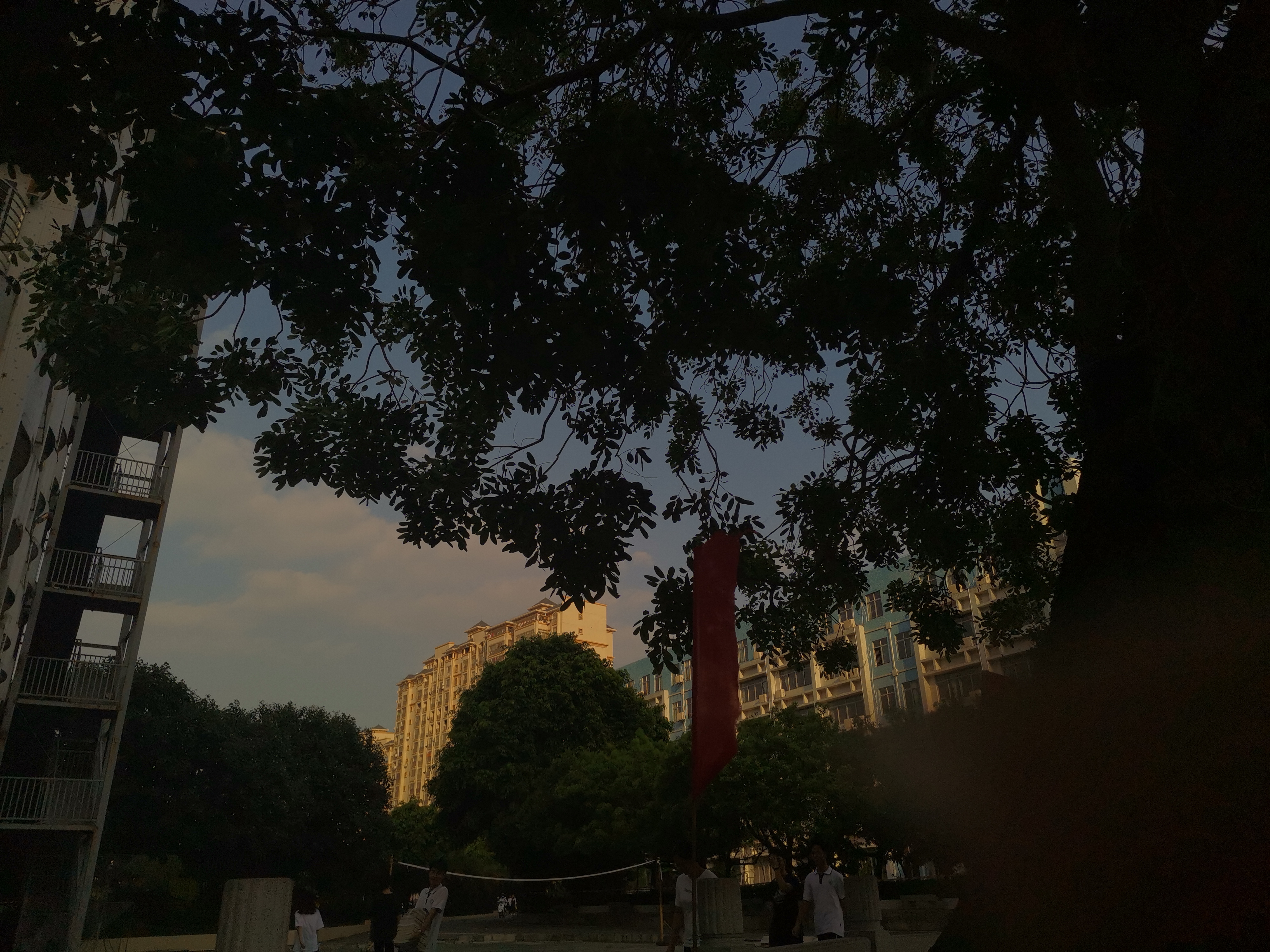 IMG_20210606_173850.jpg