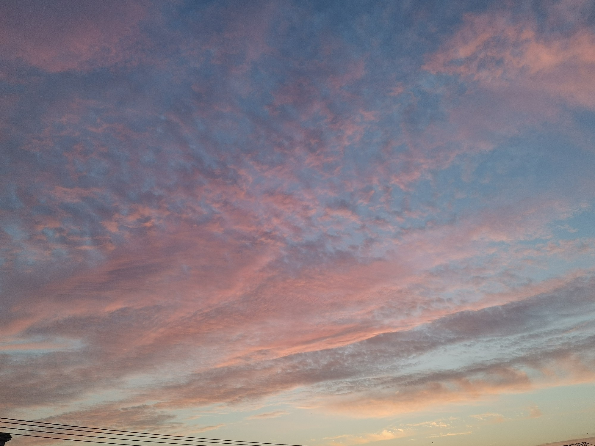 IMG_20210604_191402.jpg