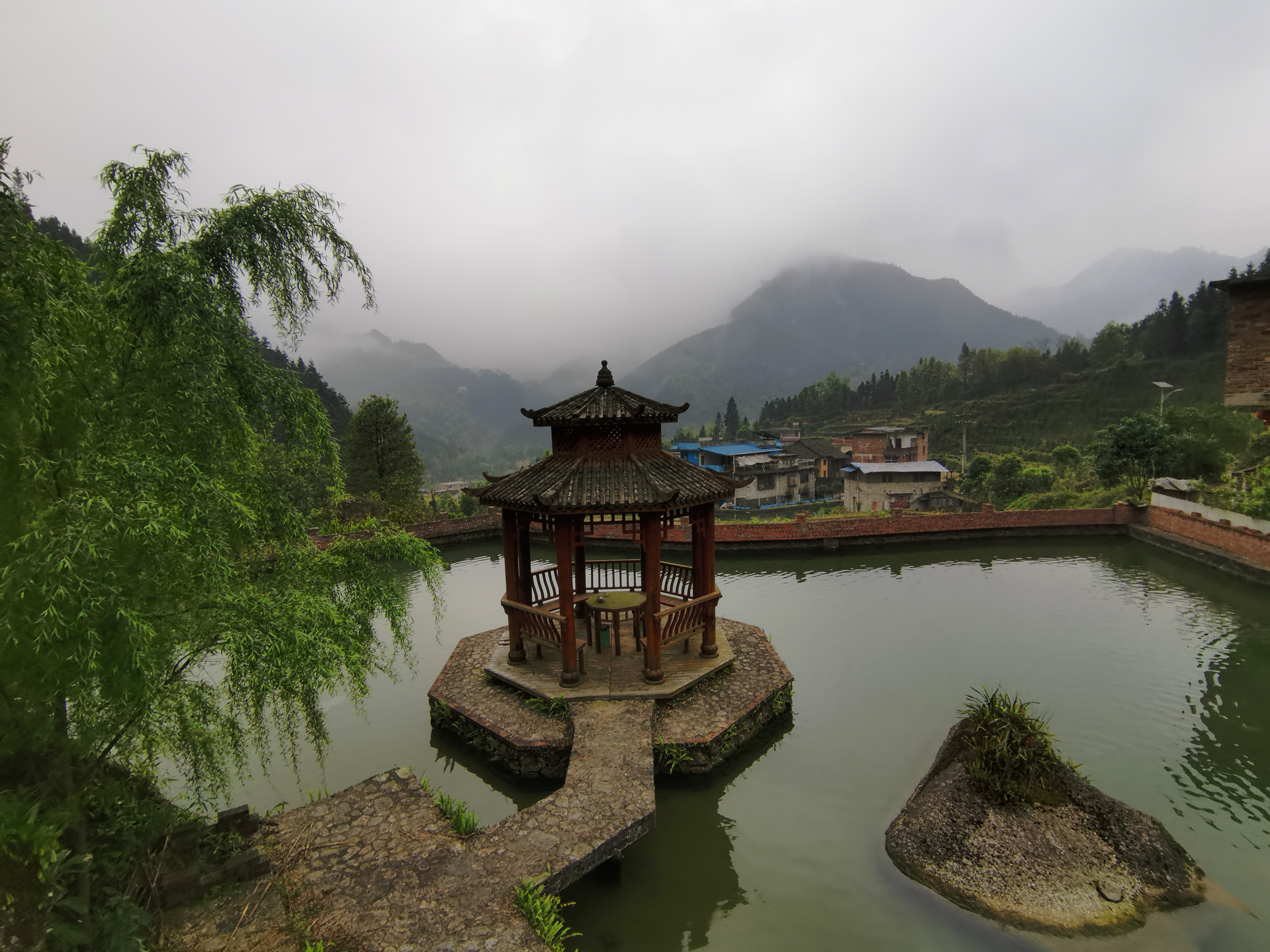 IMG_20210402_065337.jpg