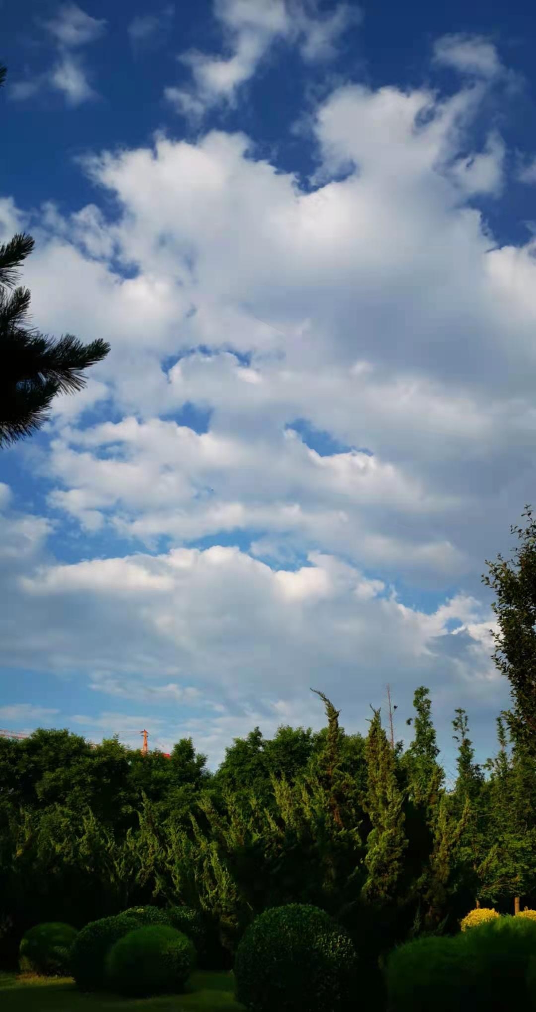 mmexport1622940528766.jpg