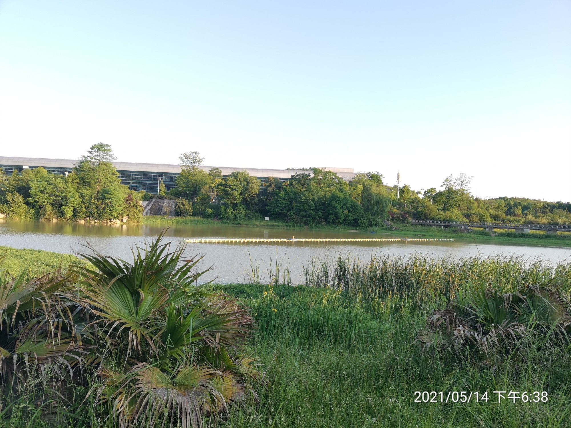 IMG_20210514_183840.jpg