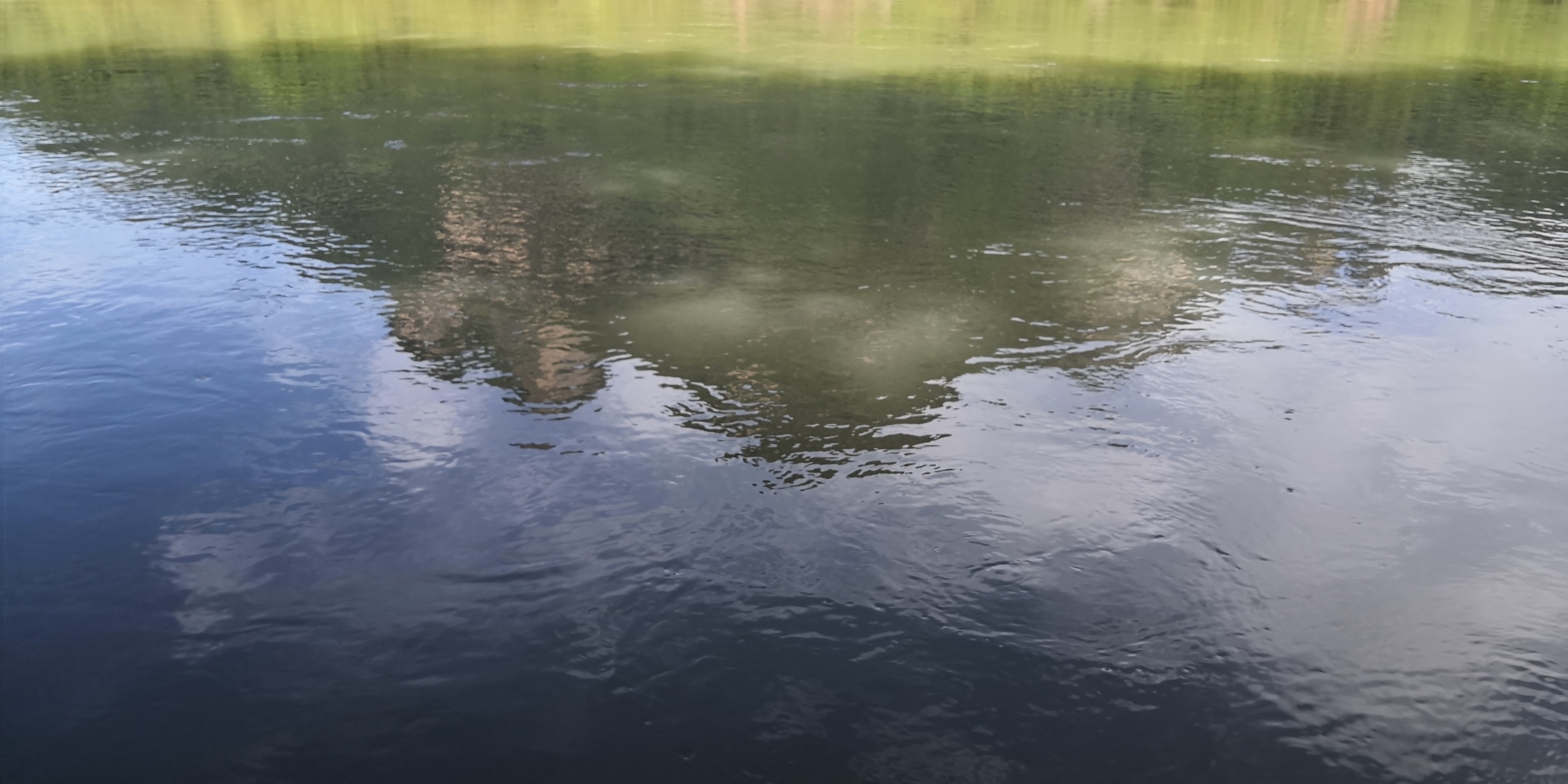 IMG_20210607_090539.jpg