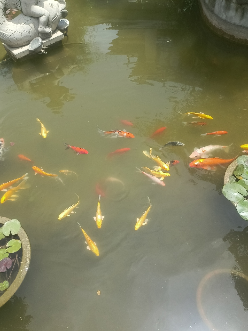 IMG_20210607_113038.jpg