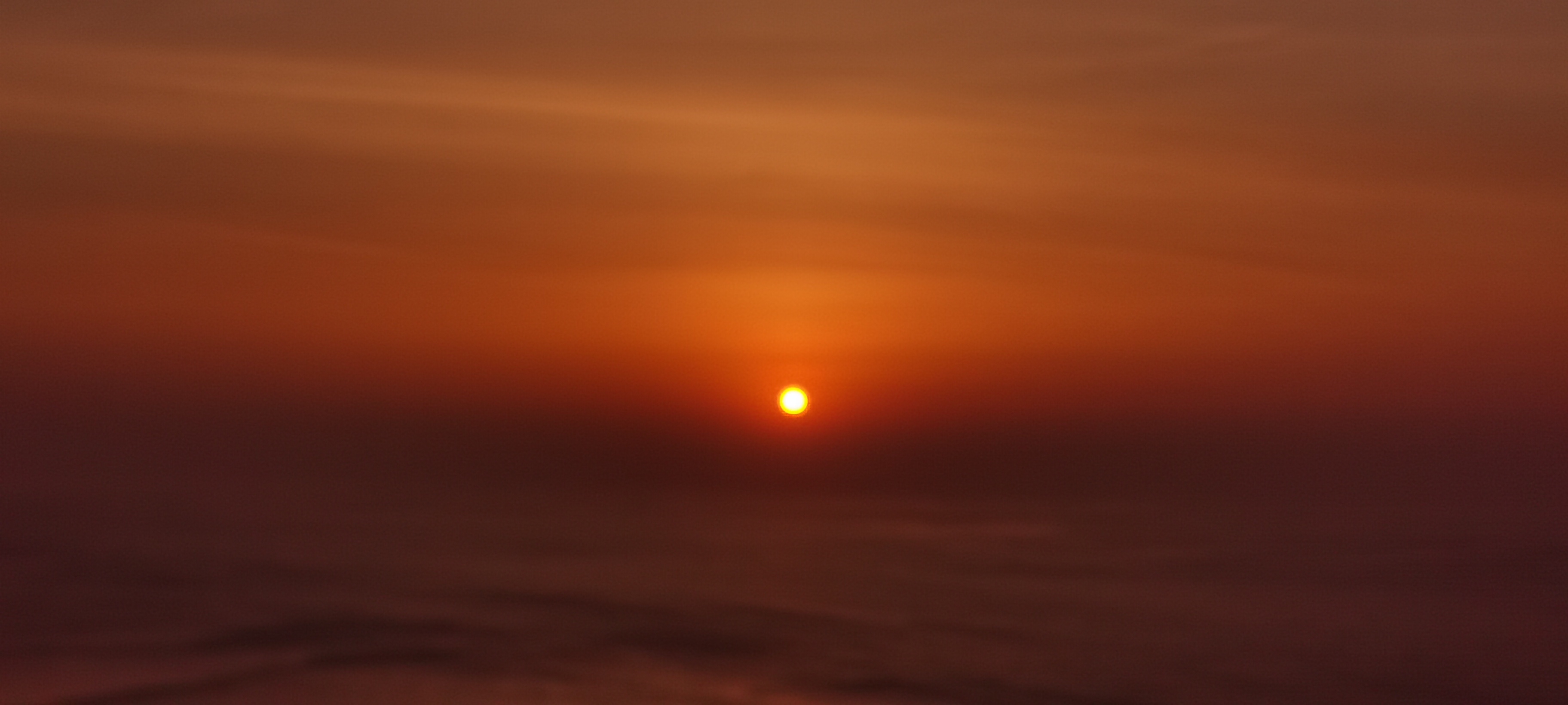 IMG_20210607_050227.jpg