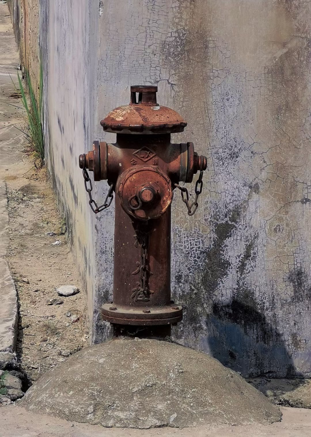mmexport1623043193772.jpg