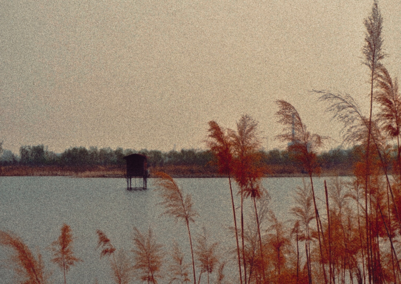 DSC01174-01.jpeg