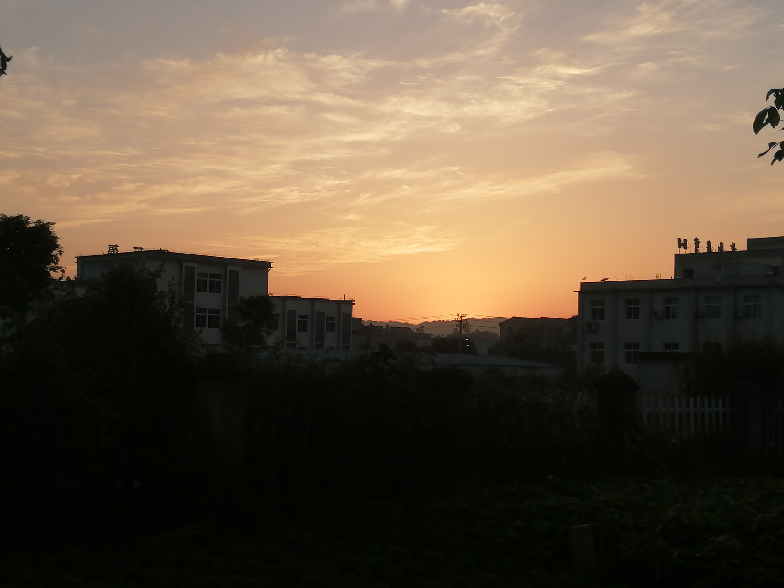 IMG_20210605_194154.jpg