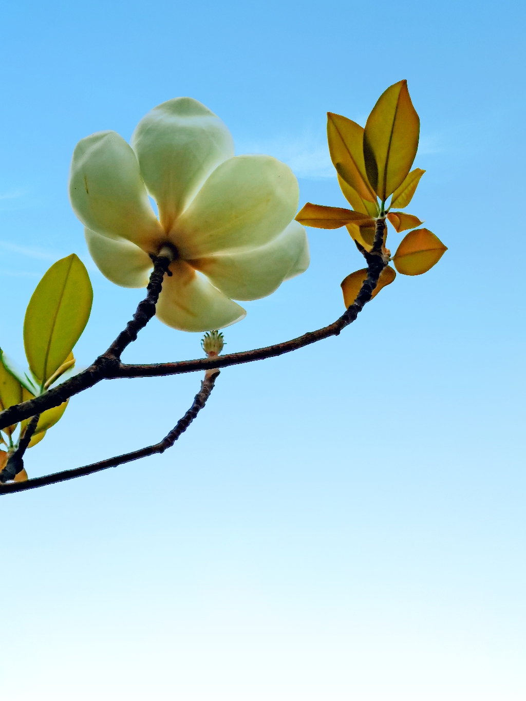 IMG_20210603_085448_mix01.jpg