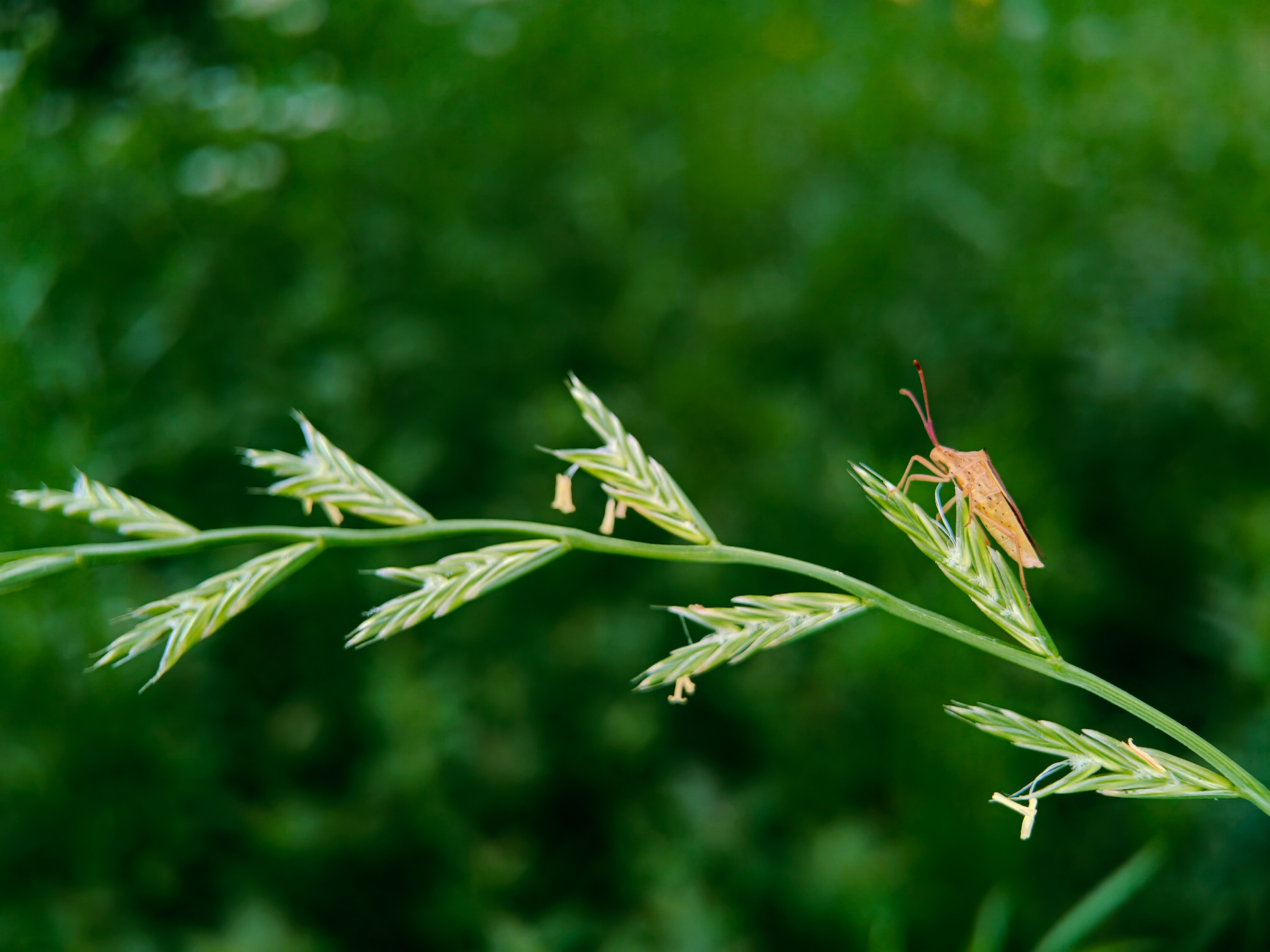 IMG_20210526_090804_polarr.jpg