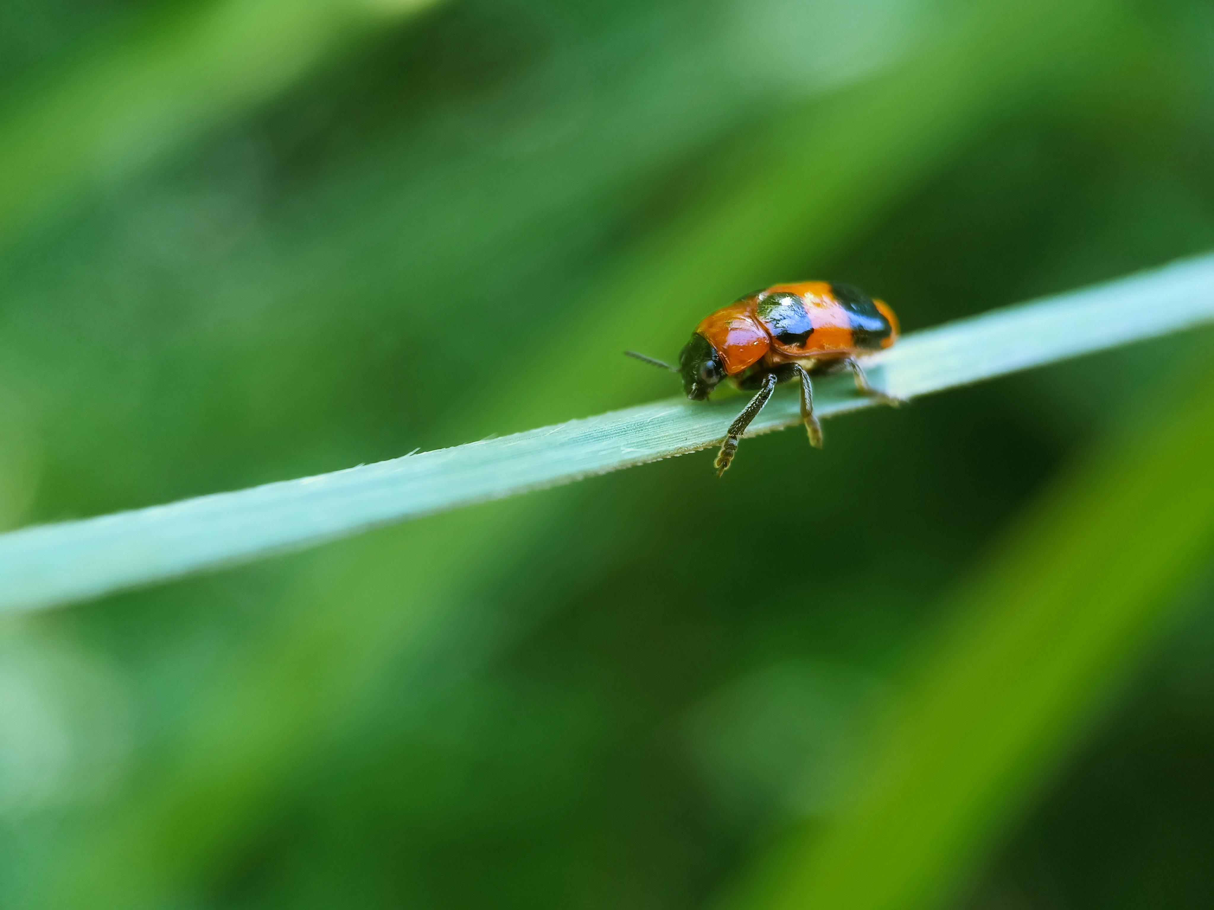 IMG_20210606_093308_polarr.jpg