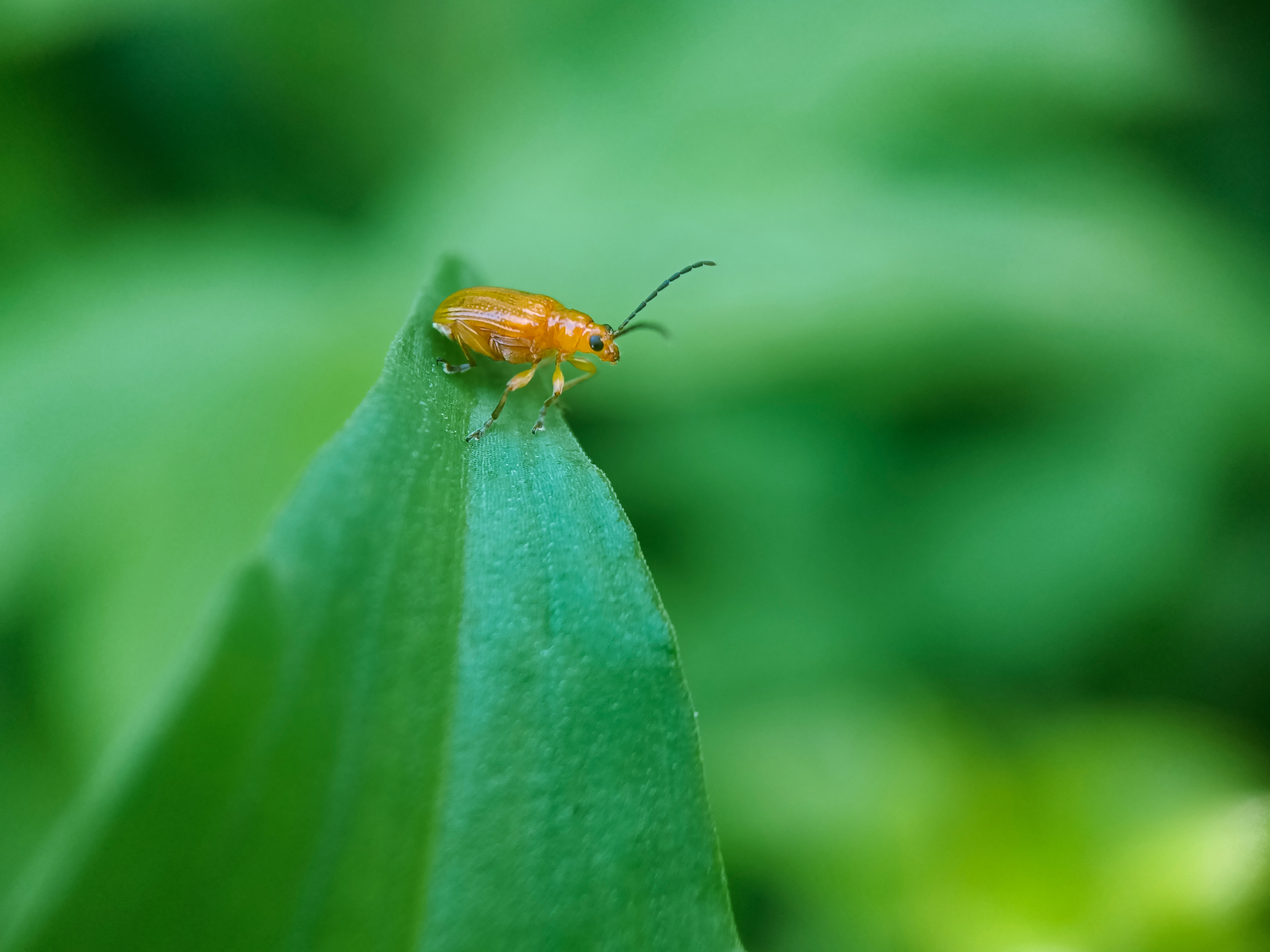 IMG_20210606_094129_polarr_1.jpg