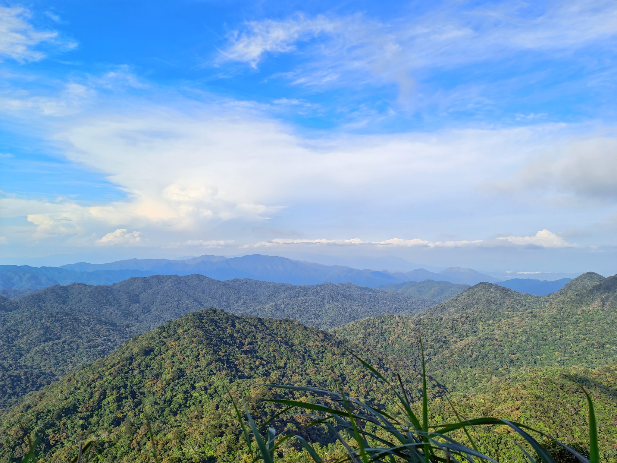 荣耀v40登高远眺