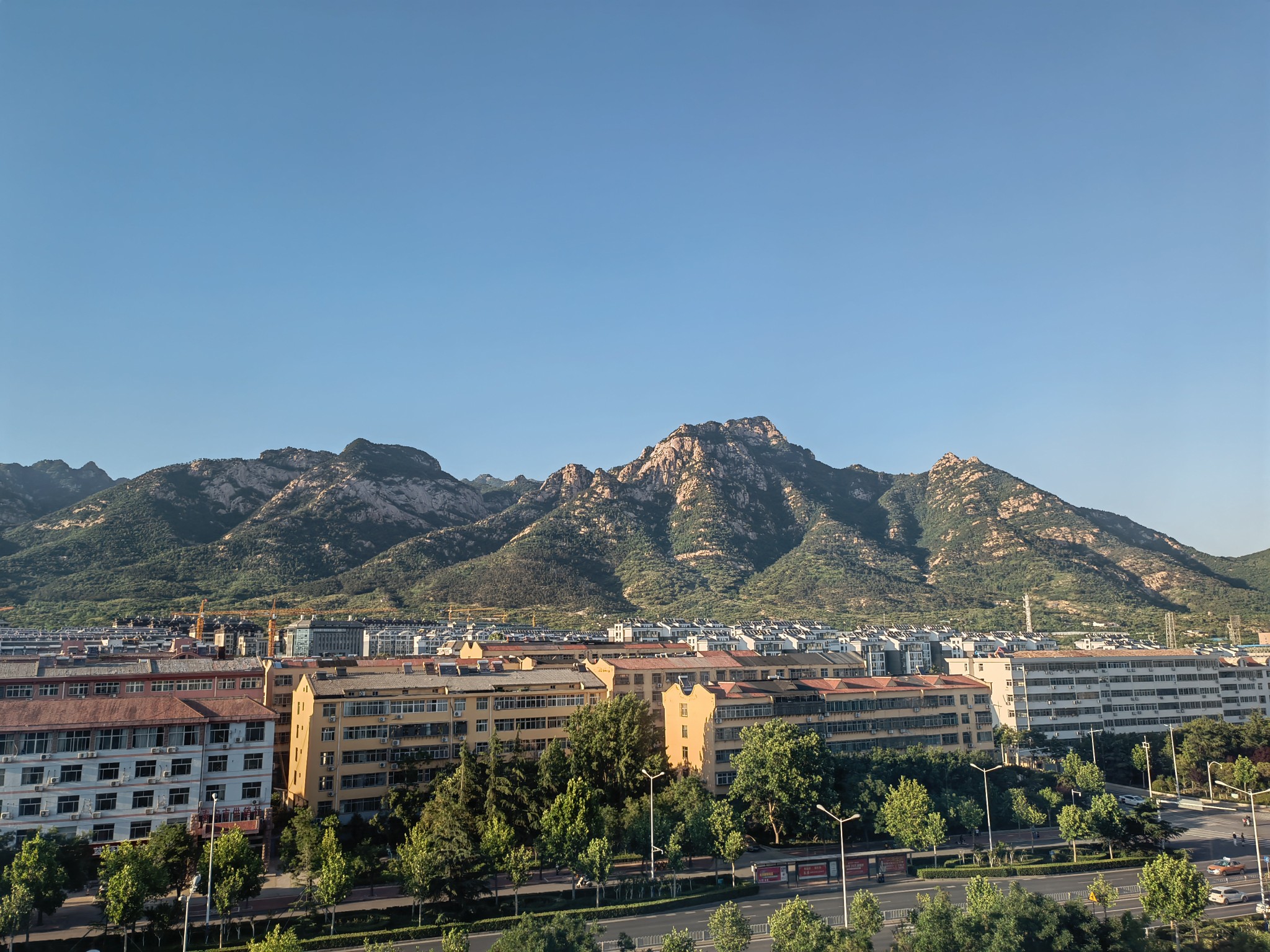IMG_20210605_181349.jpg