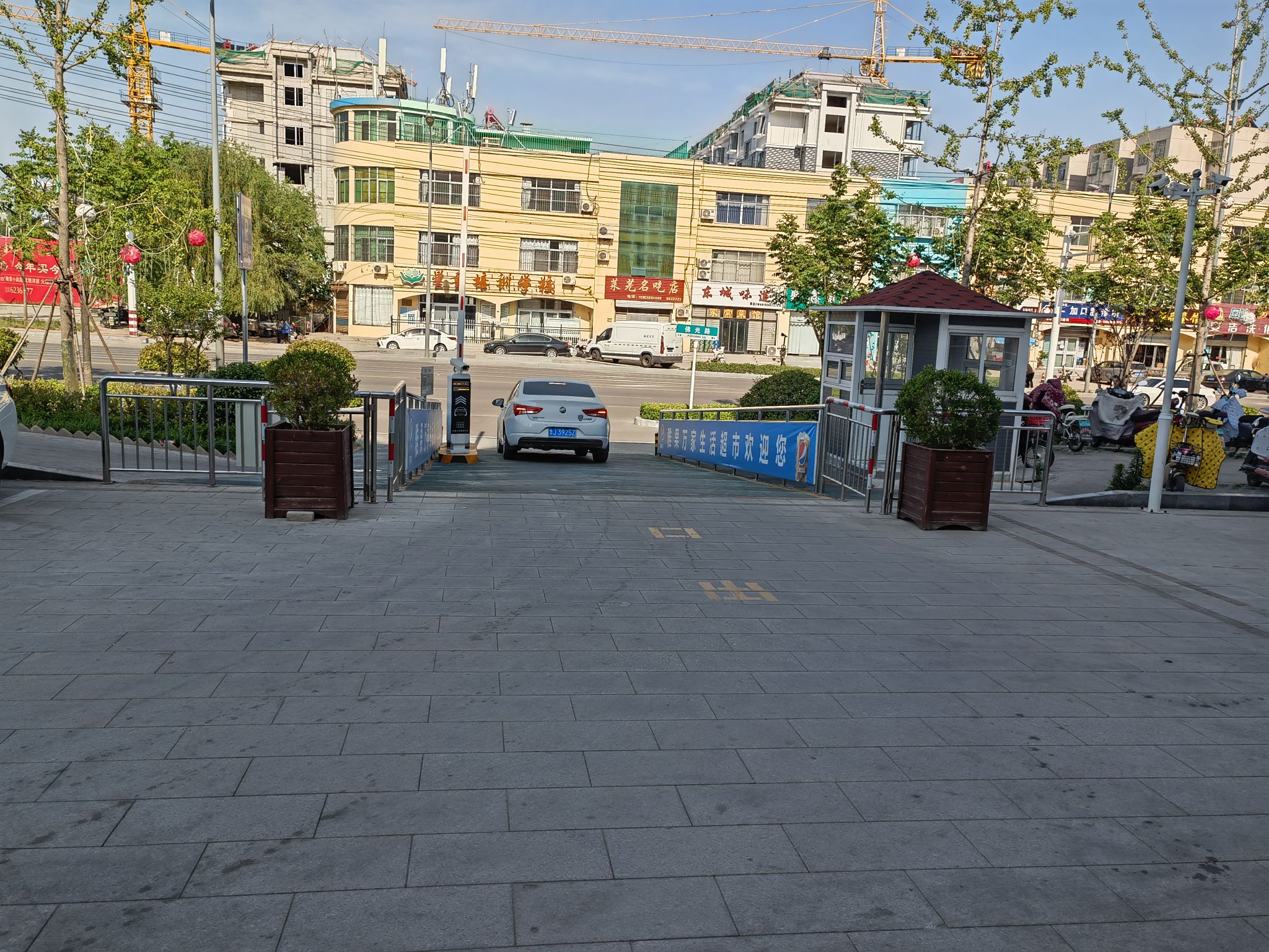 IMG_20210608_161256.jpg