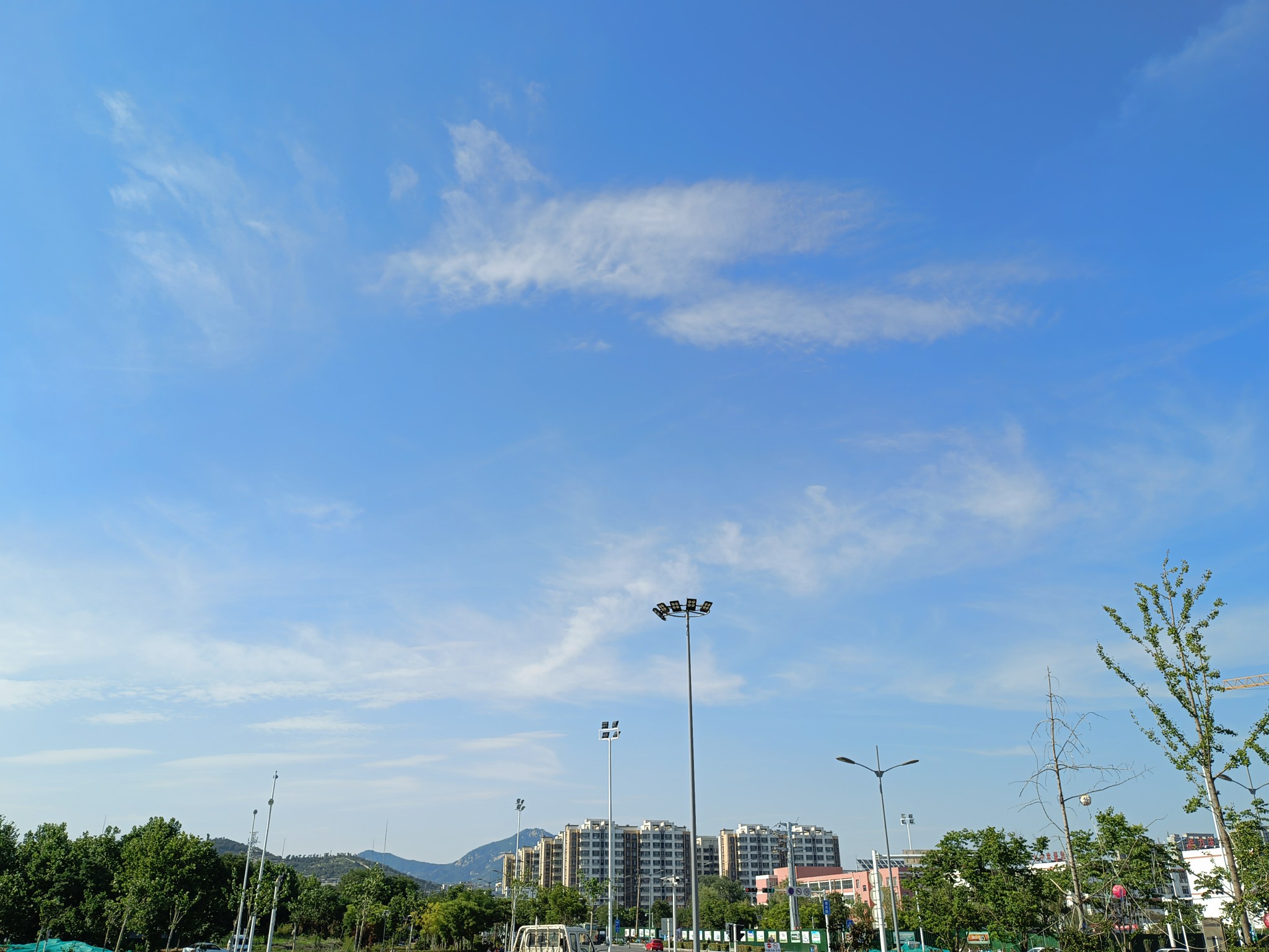 IMG_20210608_161217.jpg