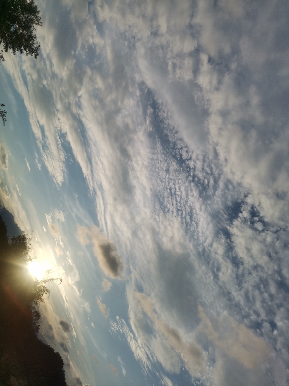 IMG_20210608_182659.jpg