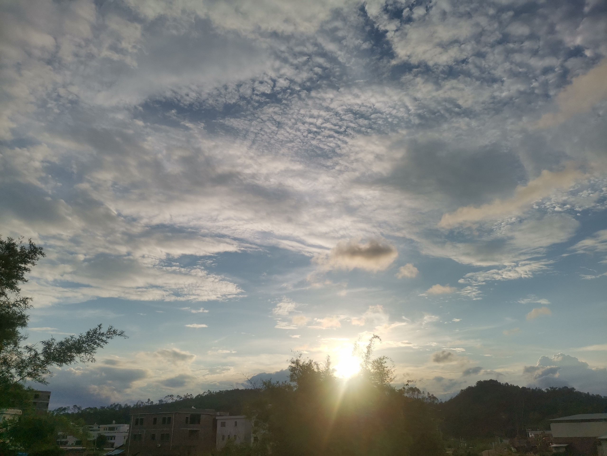 IMG_20210608_182635.jpg