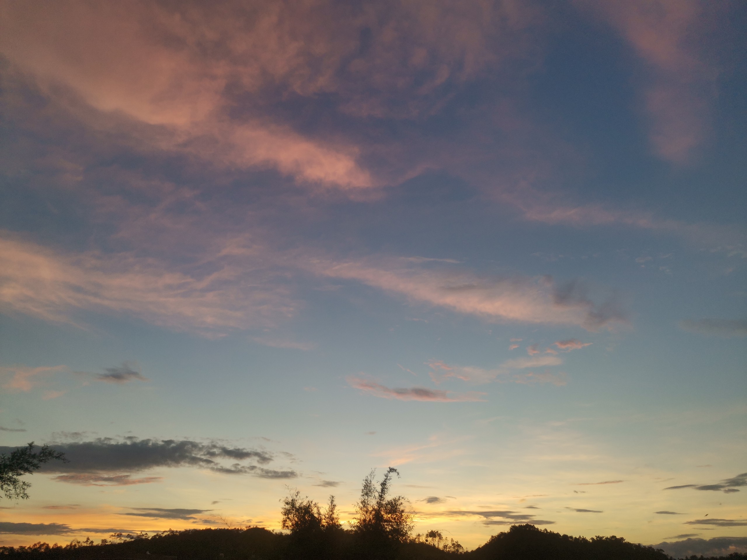 IMG_20210608_191142.jpg